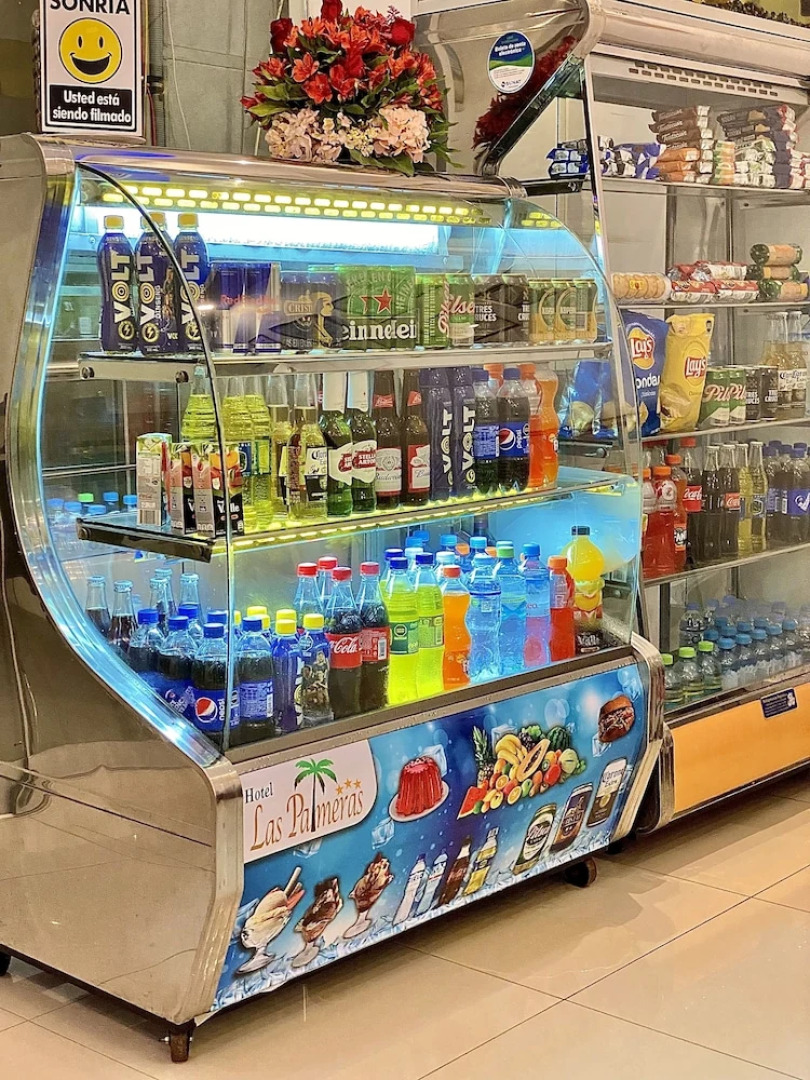 Hotel Las Palmeras - Huacho