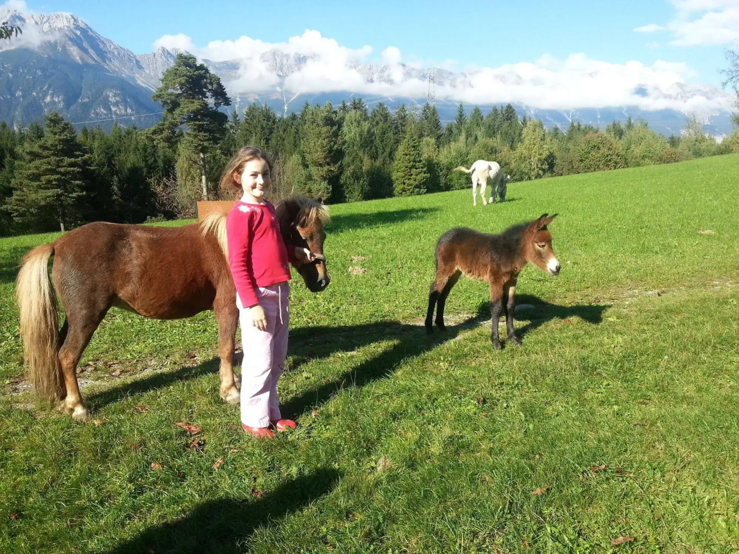 Wirtshaus Nattererboden