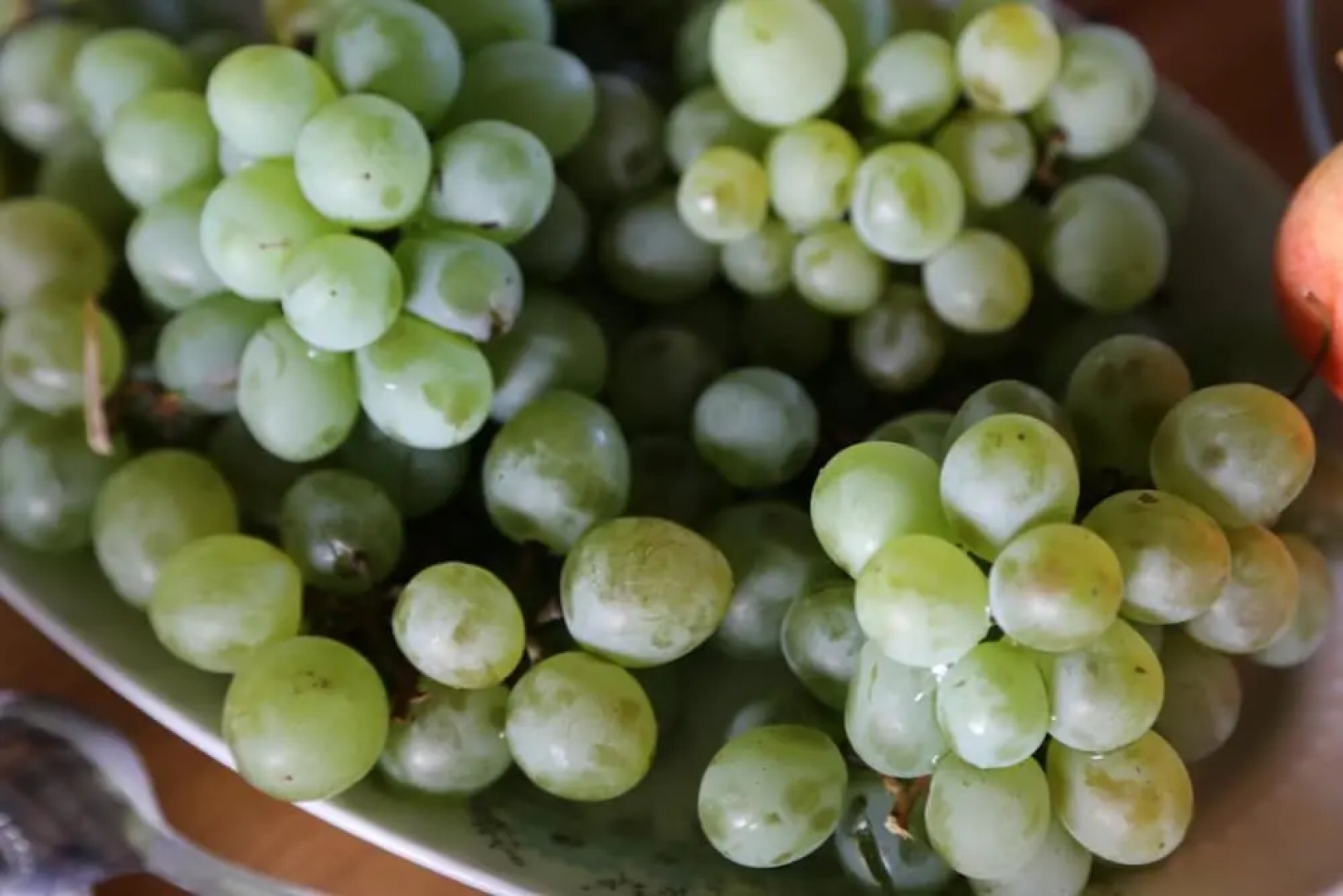 Ormana Active Butik Otel