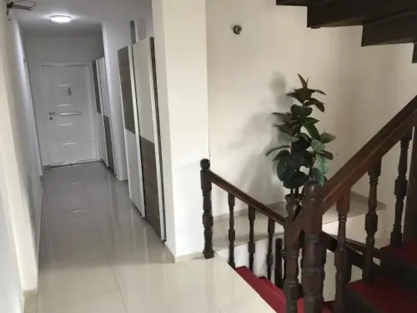 Venecia Plaza Struga