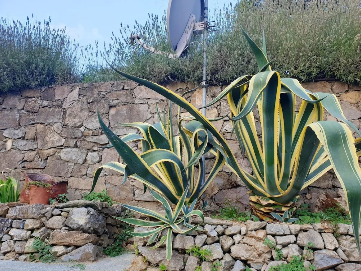 House With 2 Bedrooms in Finale Ligure, With Furnished Terrace and Wifi Near the Beach