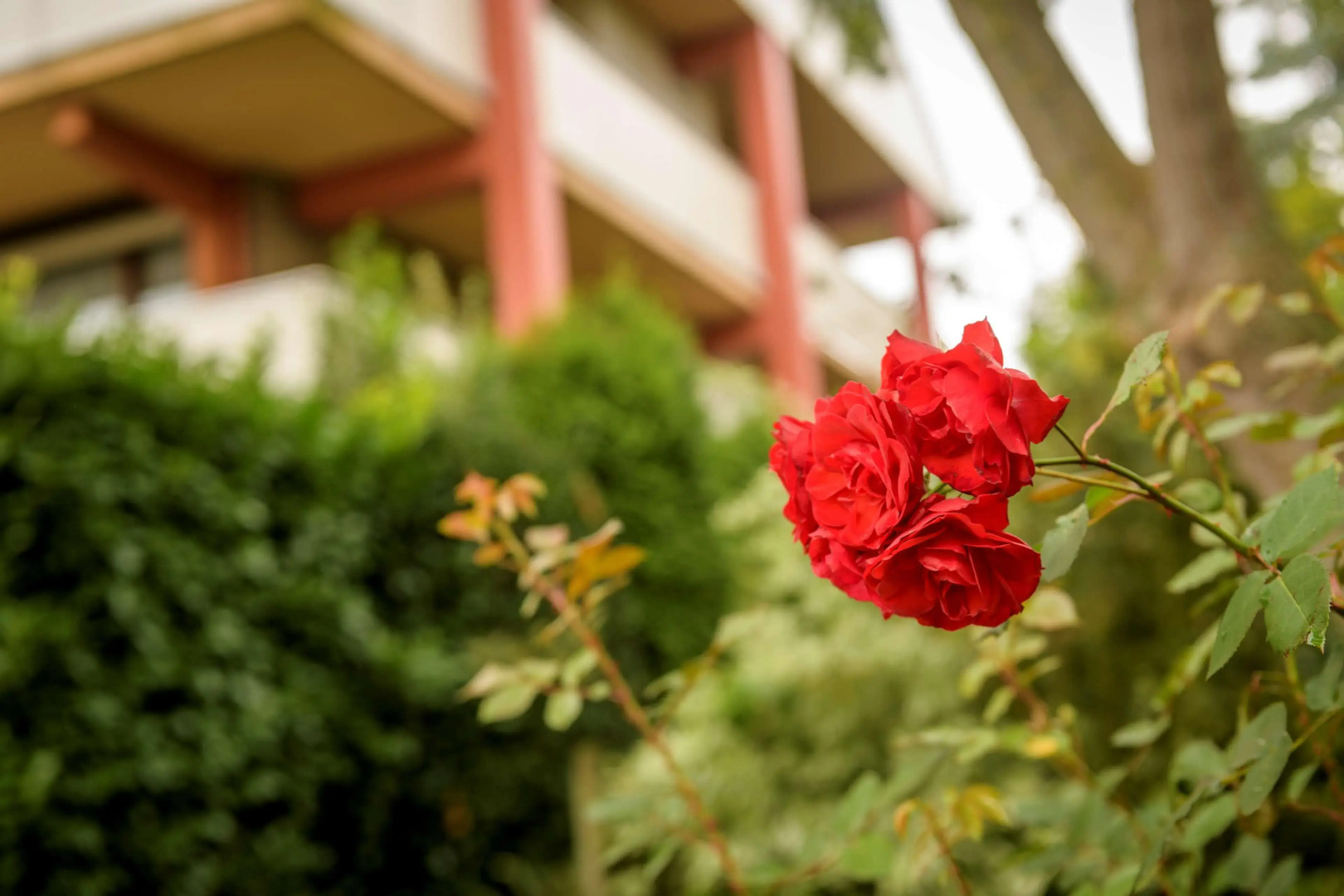 Campanile Hotel And Restaurant Gorinchem