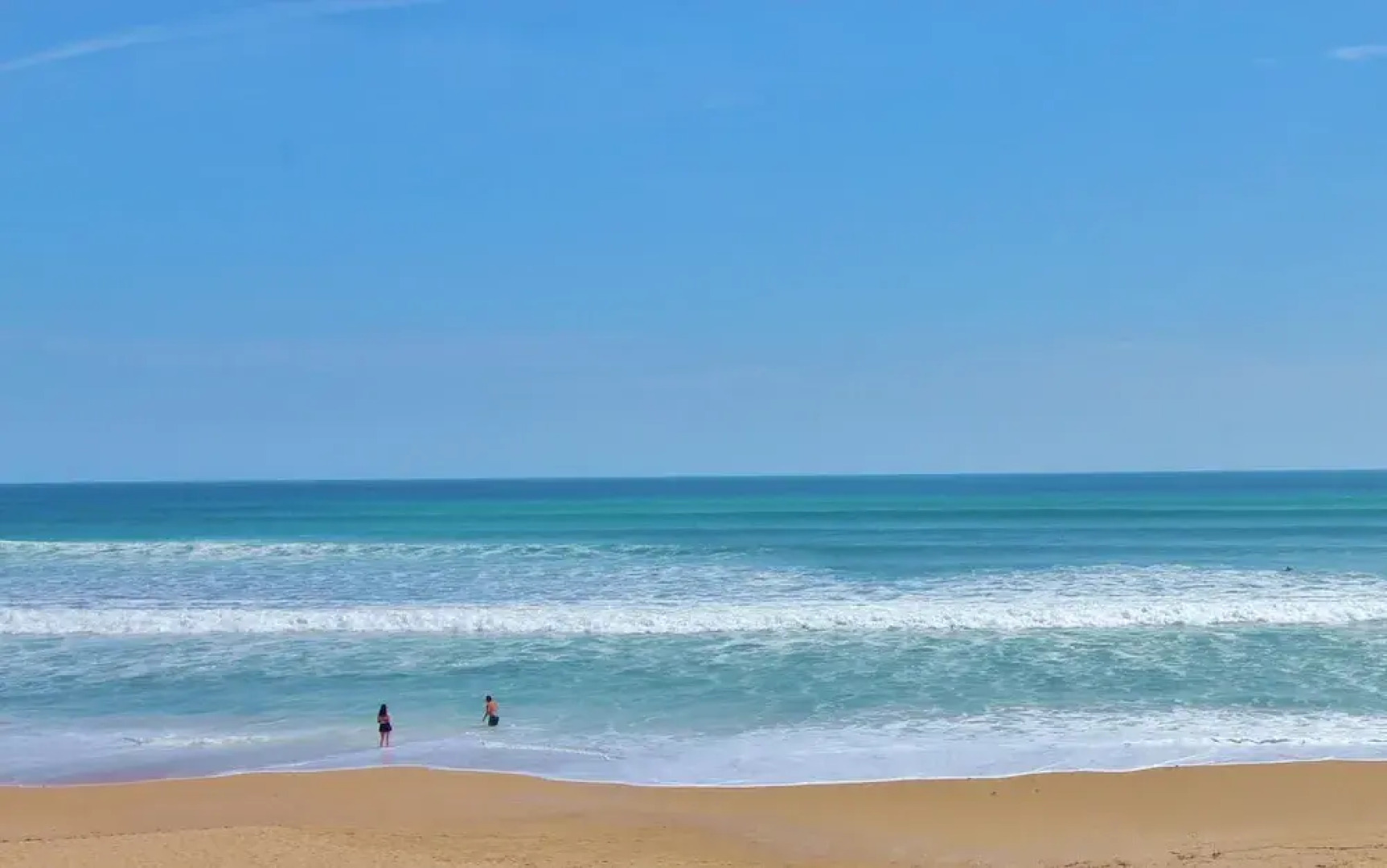 Z-sea Coast Gardens II 209