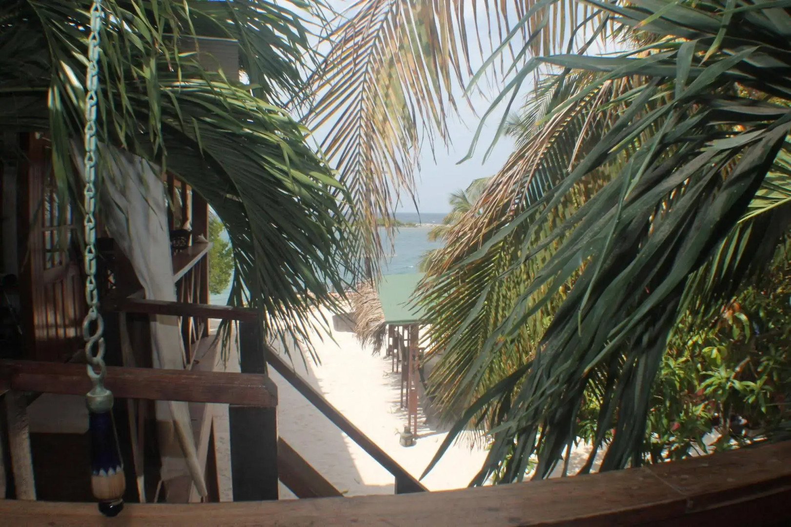 Coral Reef Beach Aruba