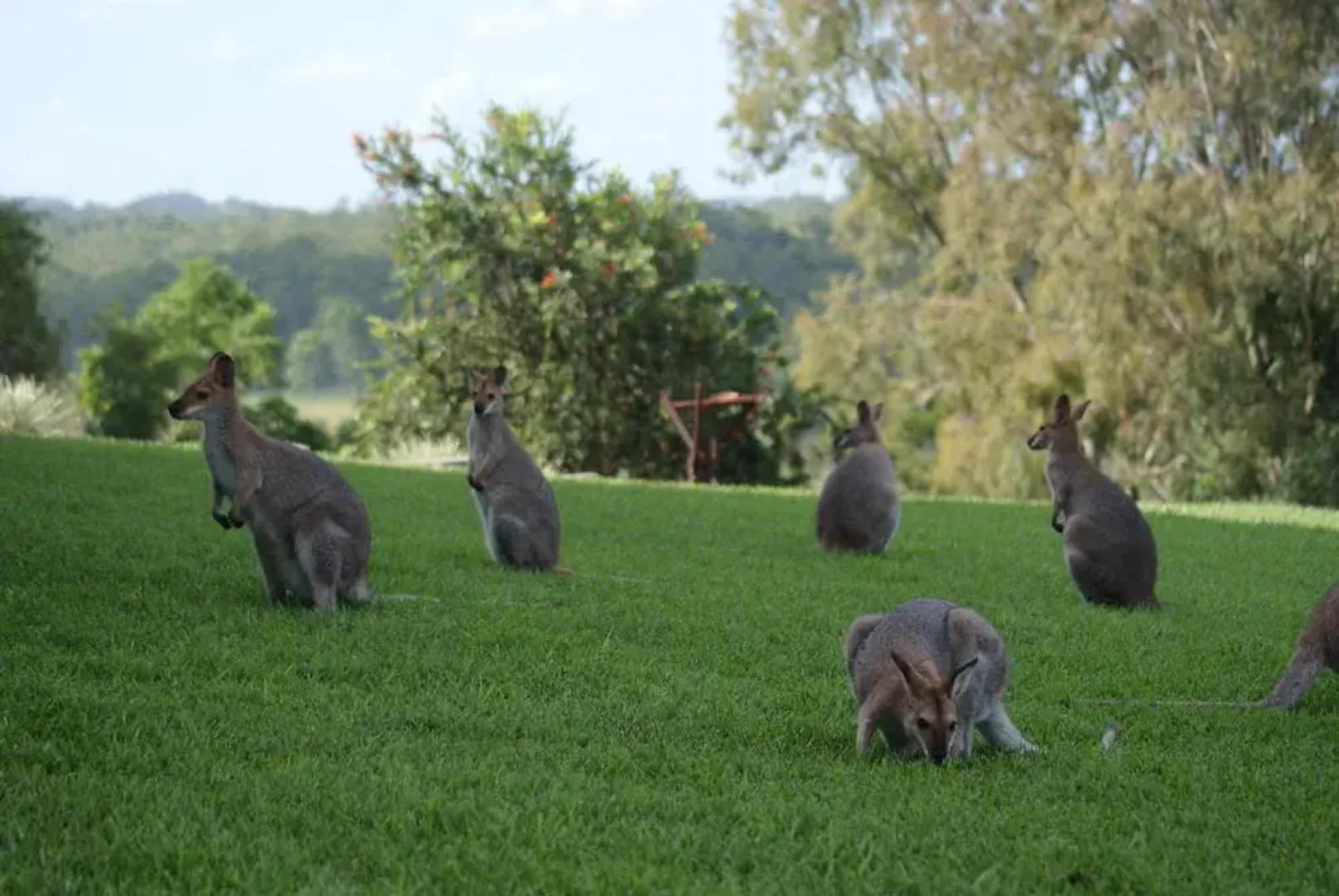 Mary Valley Views B + B