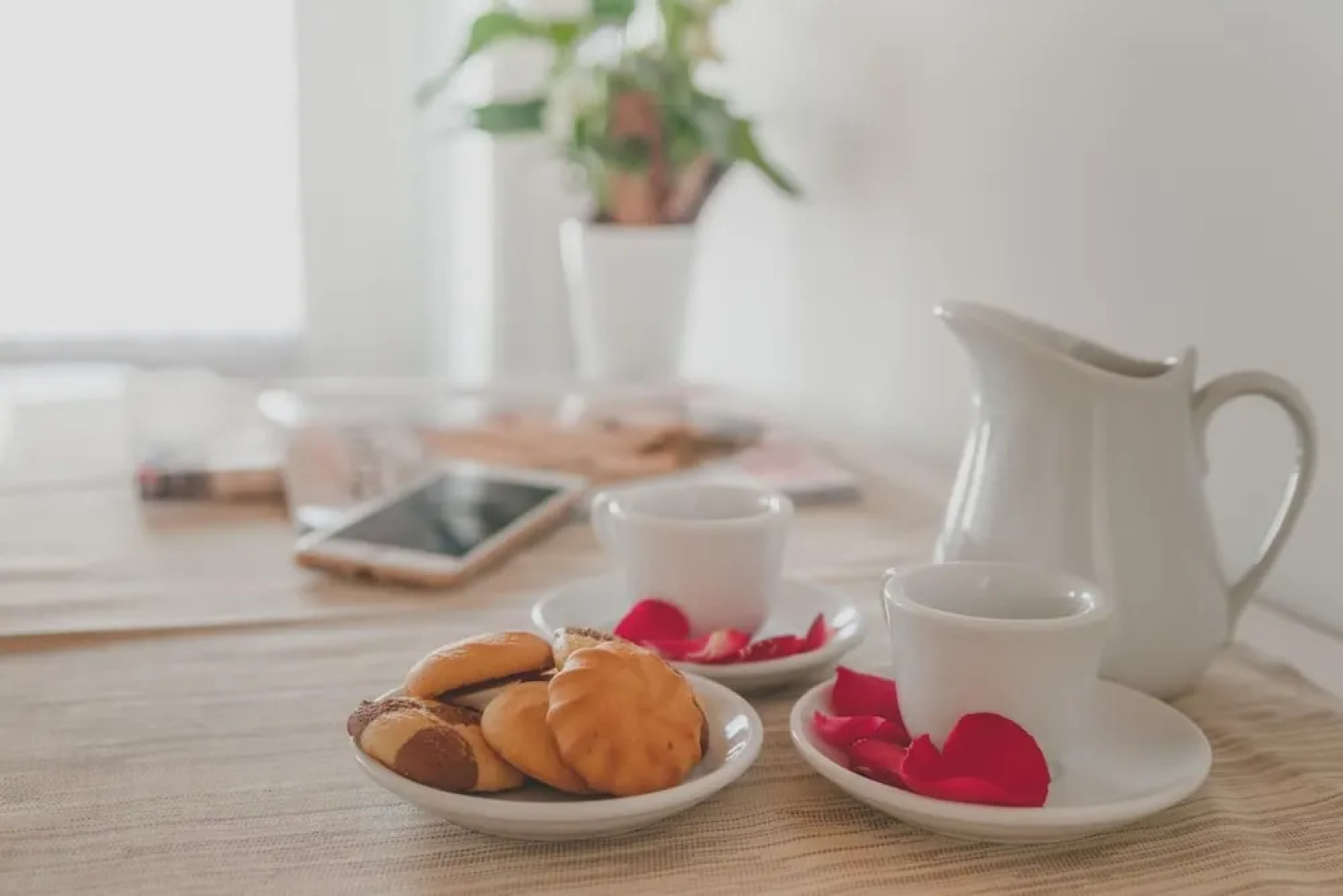 Terra Ferma Rooms & More