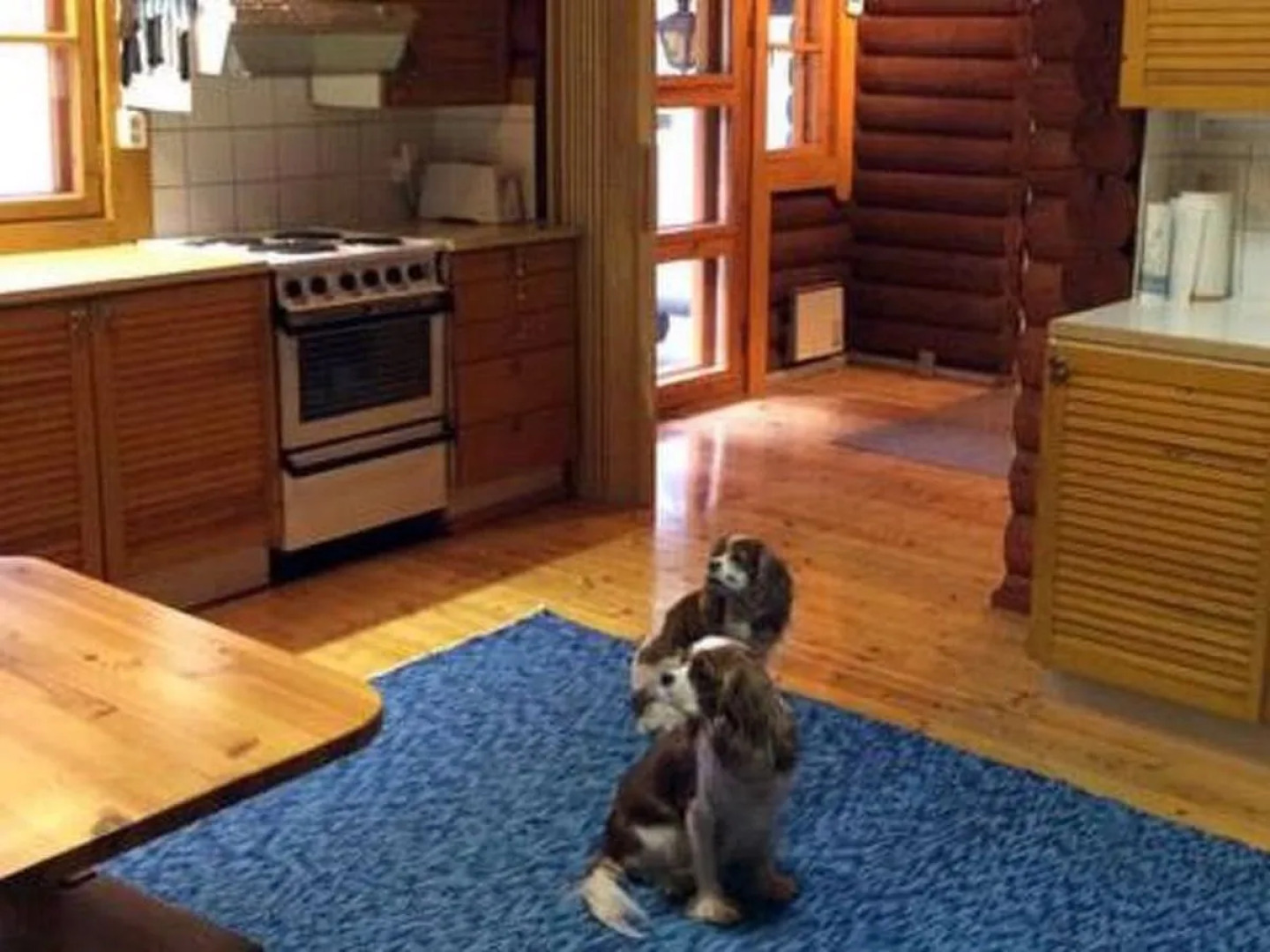 Holiday Home Sokeelampi