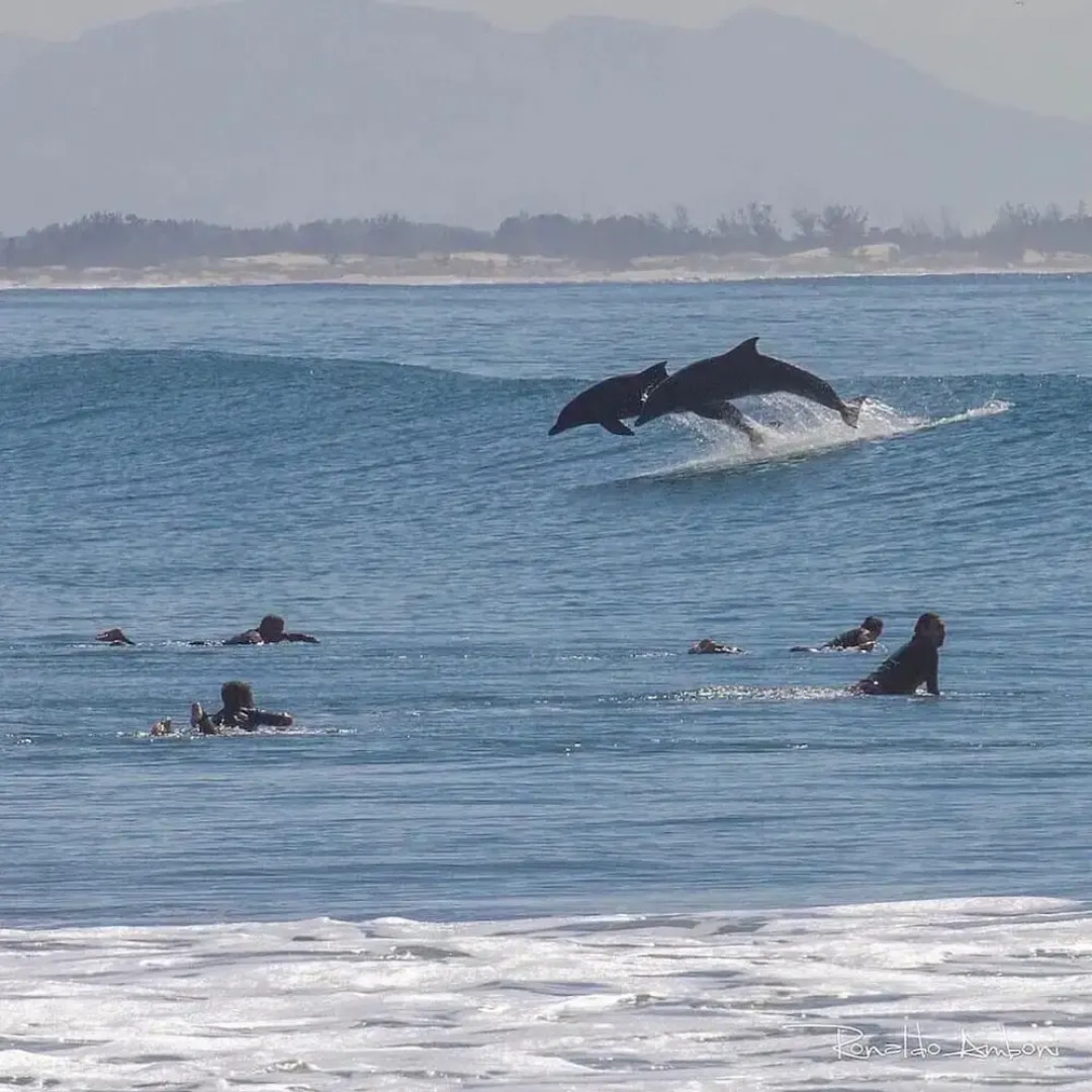 Resid. Clube Mar Grosso-Laguna - LAG208