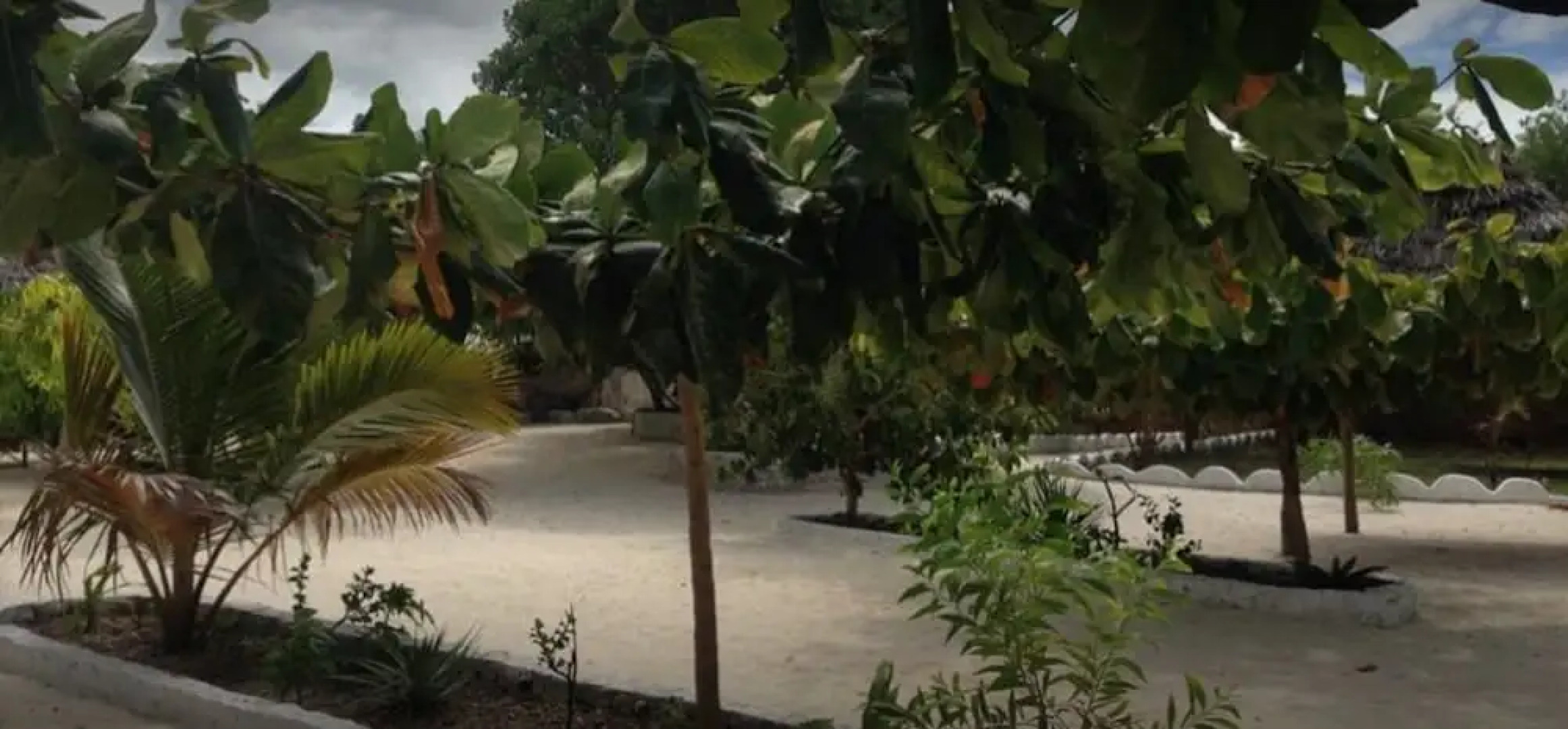 Mfumbwi Backpacker Lodge