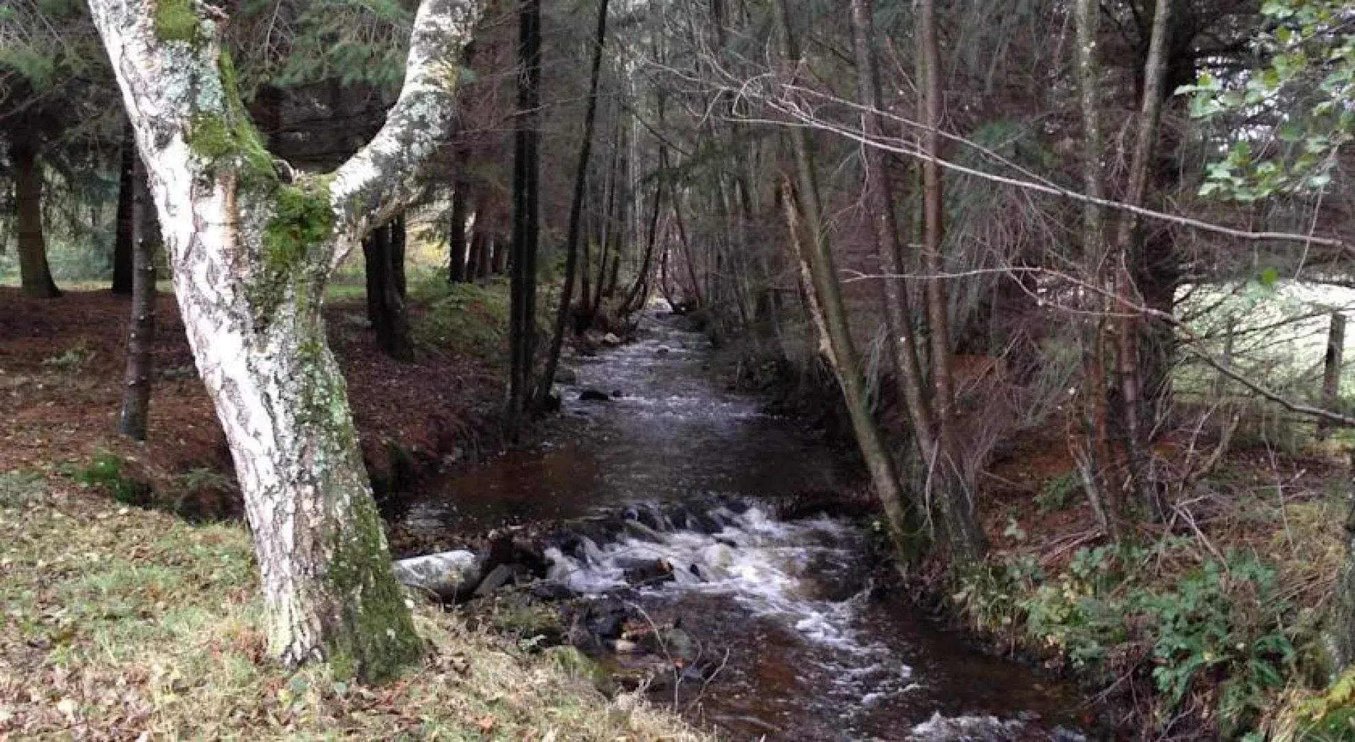 Le Paradou Camping & Gites