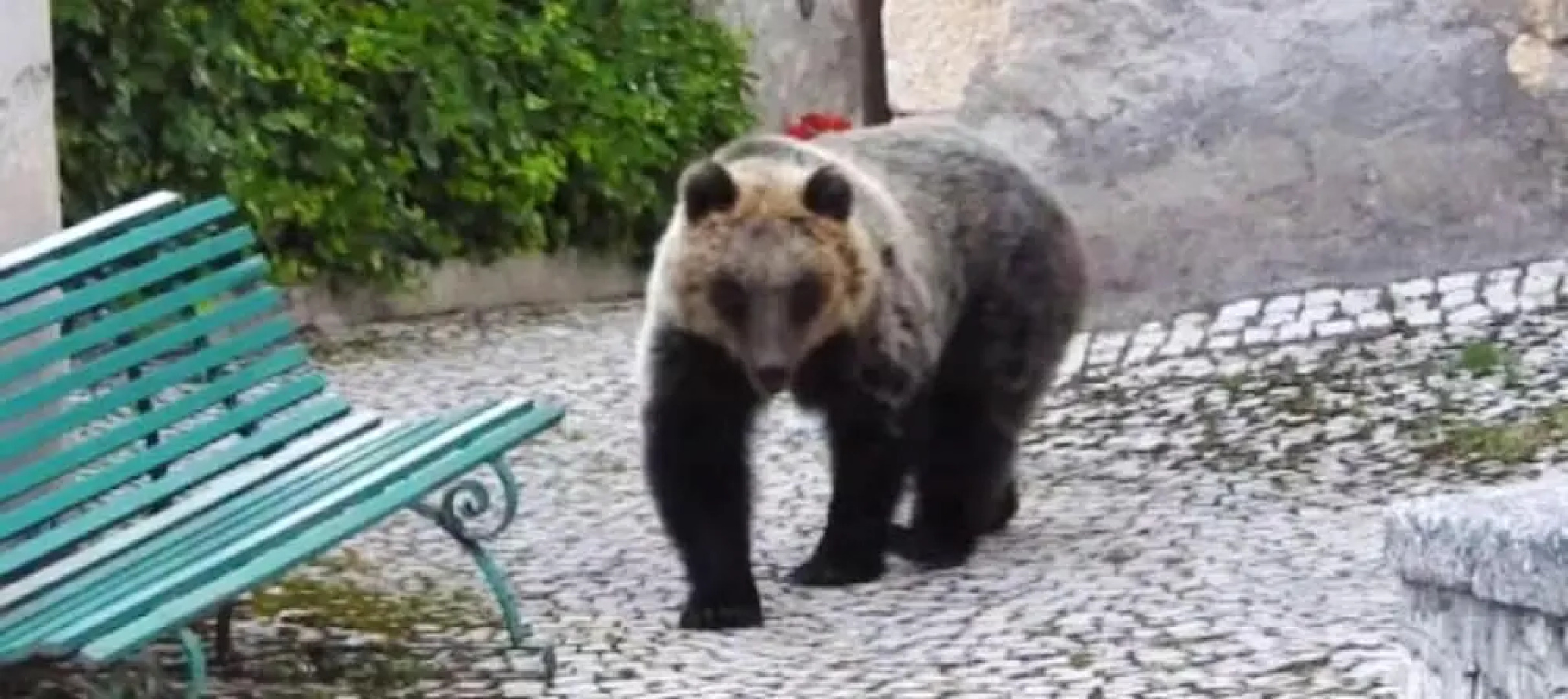 House With 2 Bedrooms in San Sebastiano, With Wonderful Mountain View,