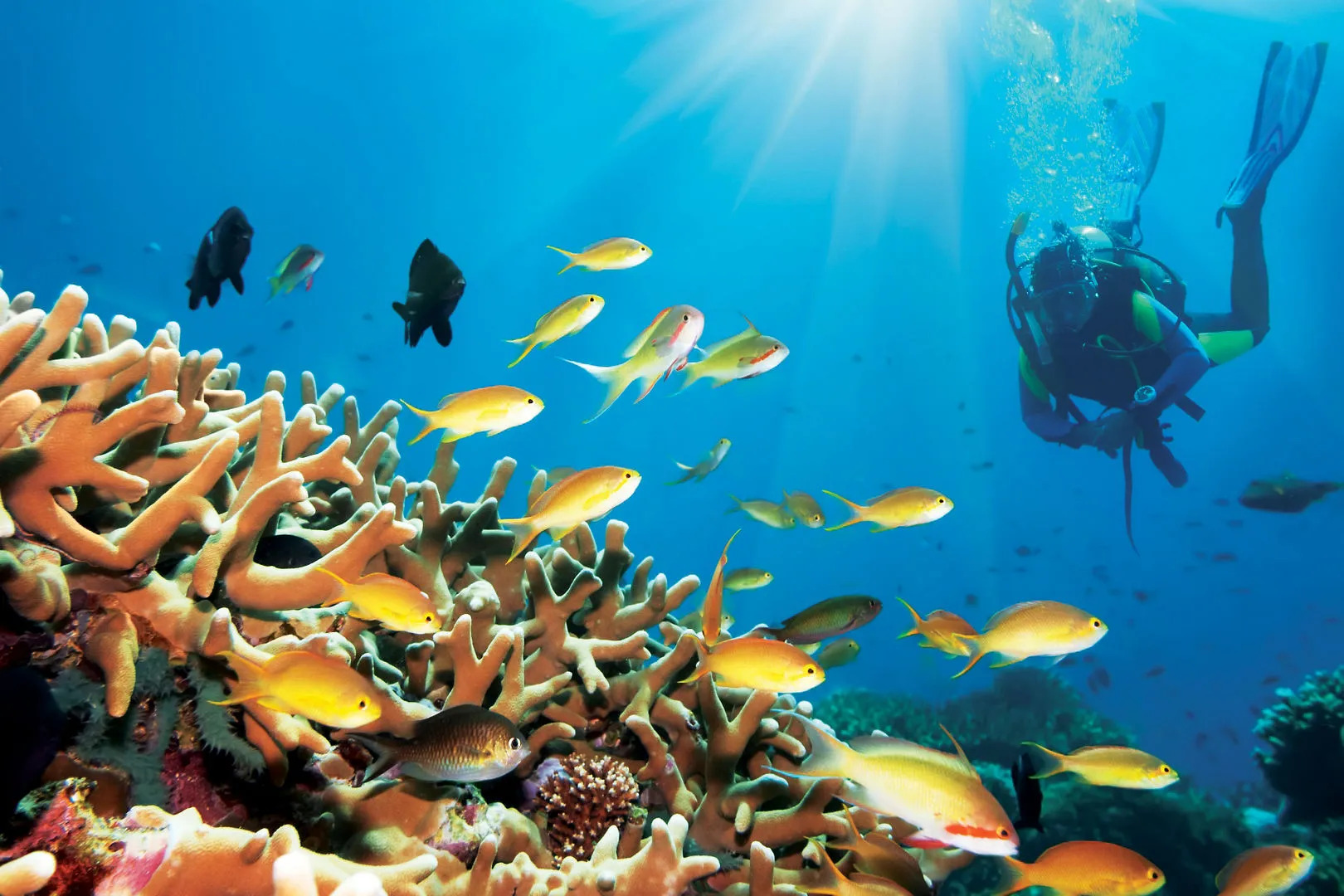 Jalsa Beach Hotel & Spa