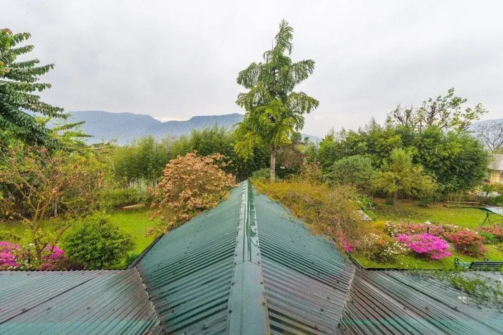 The Bliss Village Resort