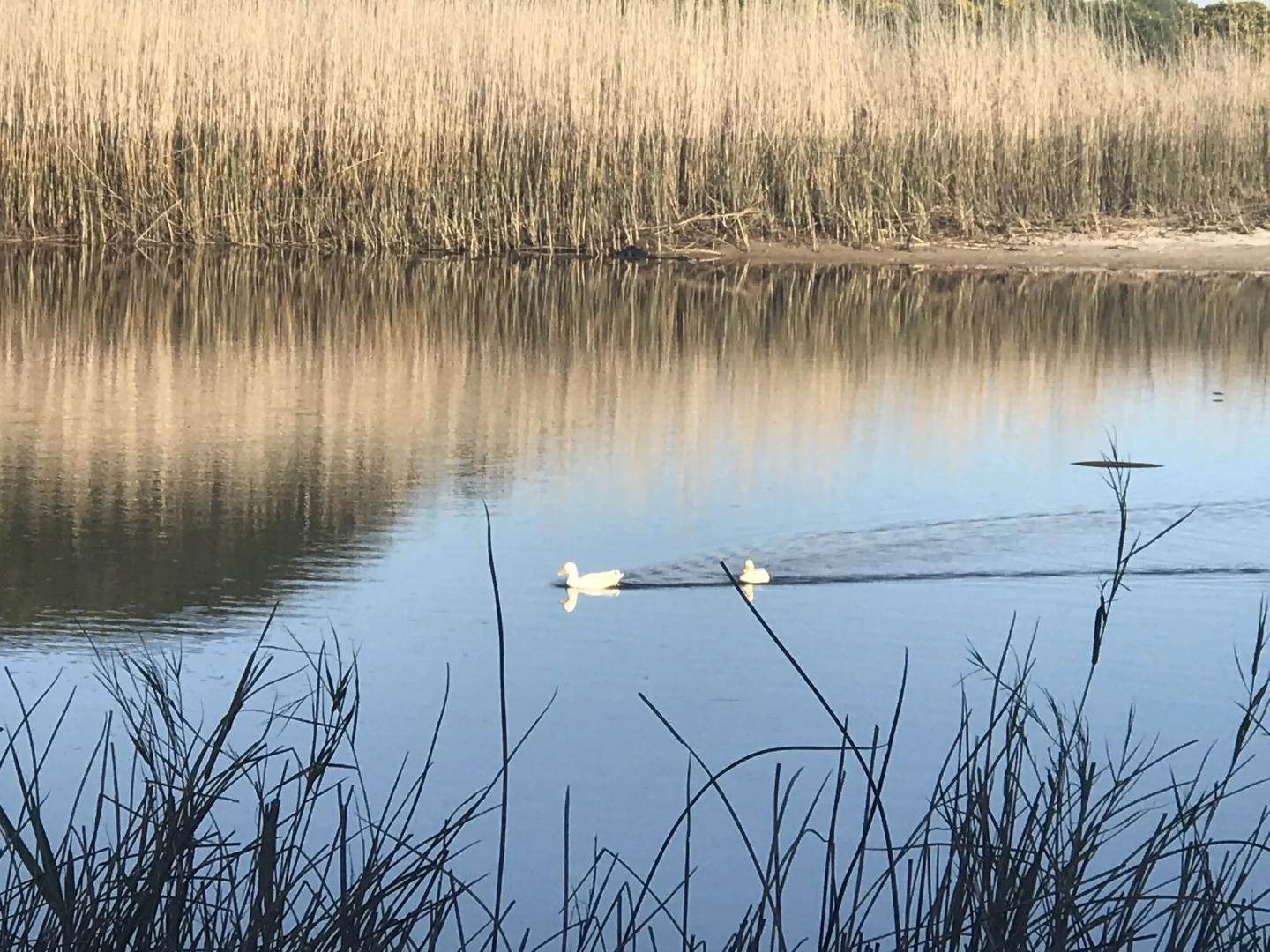 Kennedy's Beach Villa