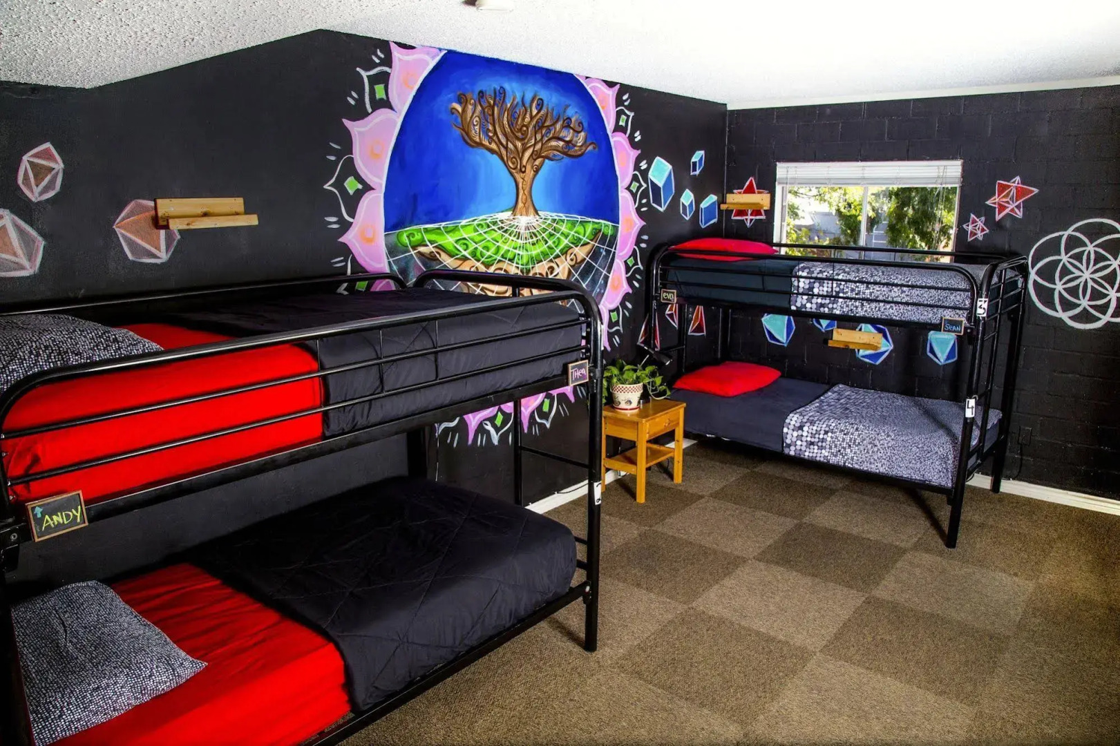 Drifter Jacks Hostel