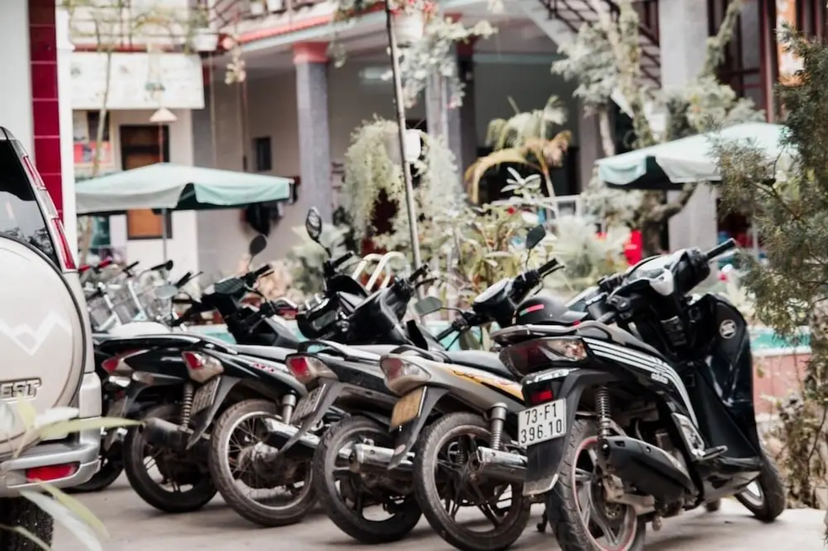 Phong Nha Tuan Garden House - Hostel