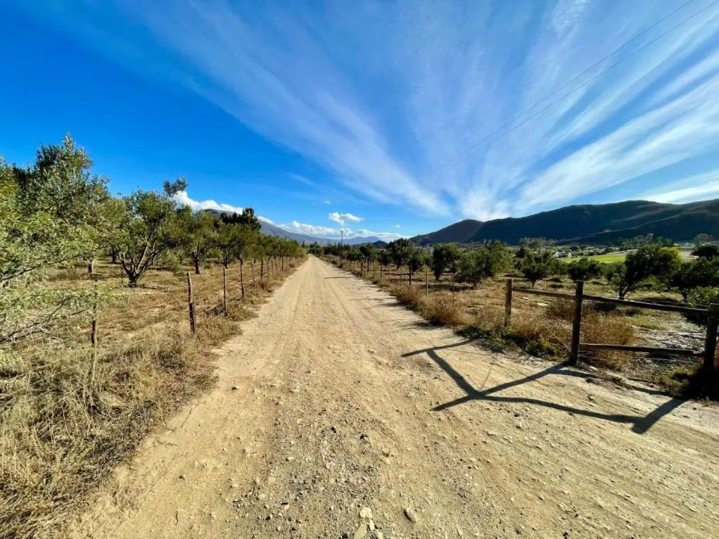 Blue Cow Barn - Boutique Farm