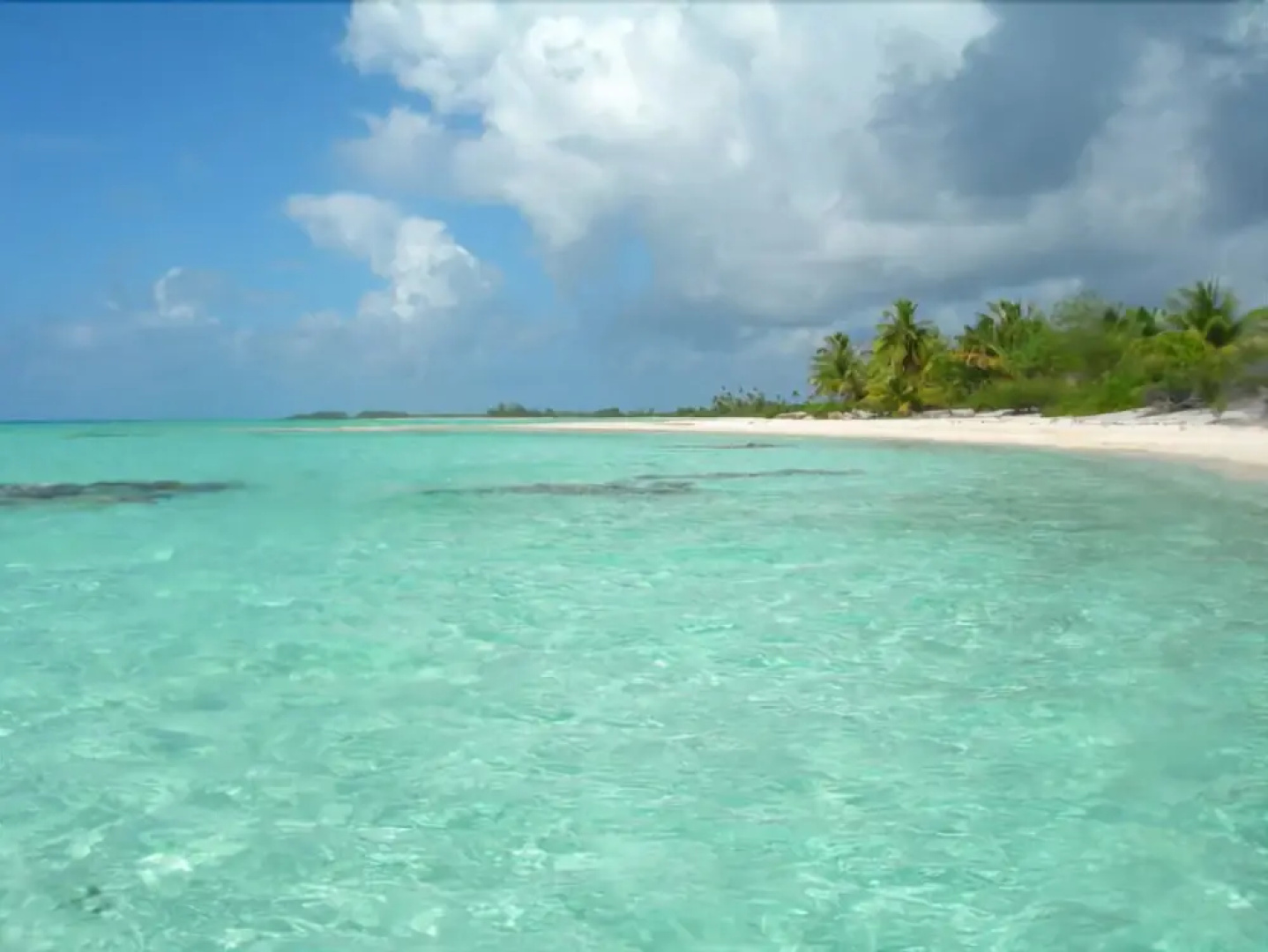 Tikehau Bed and Breakfast