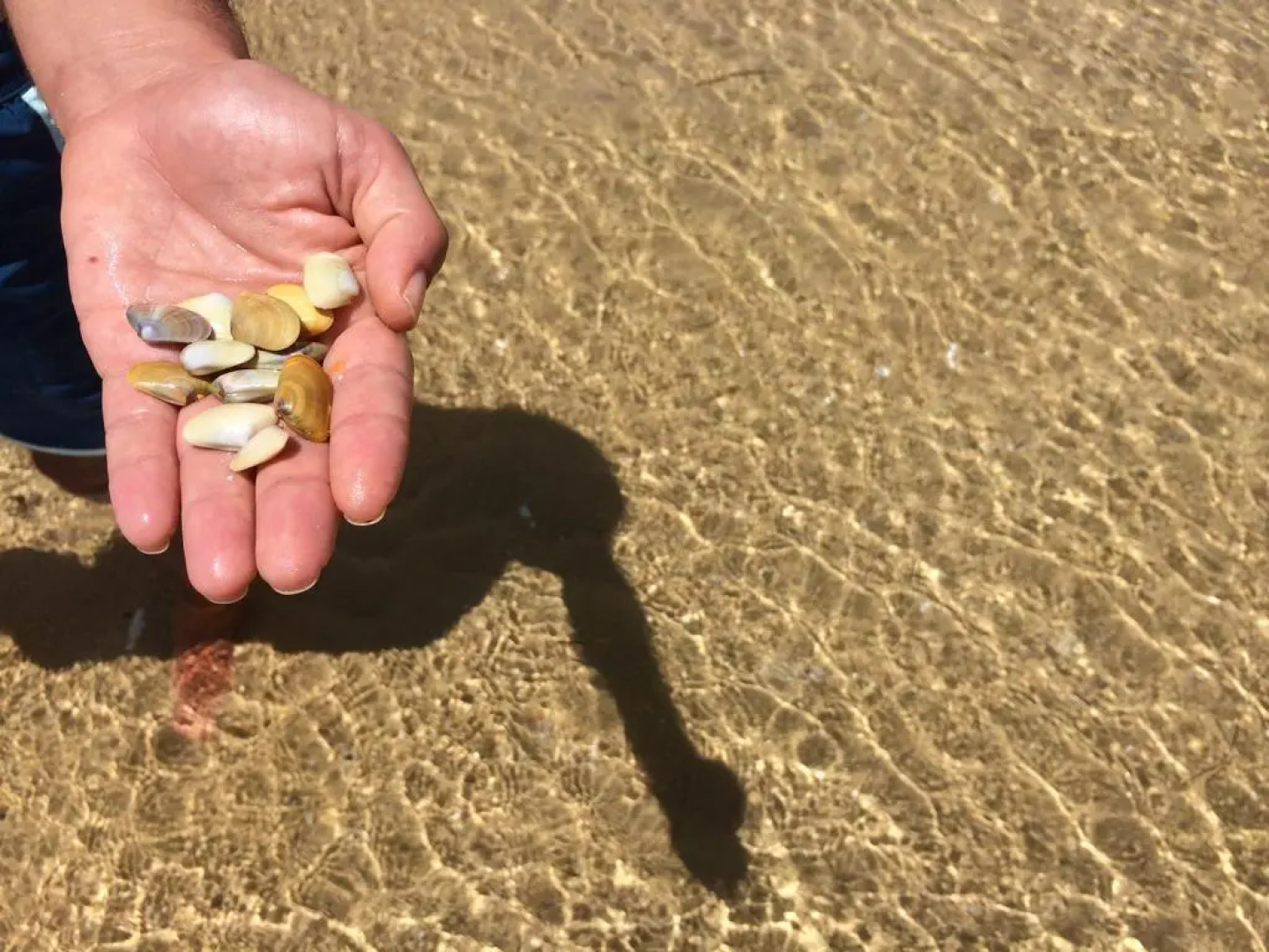 Fuzeta Beach Holiday Apartment