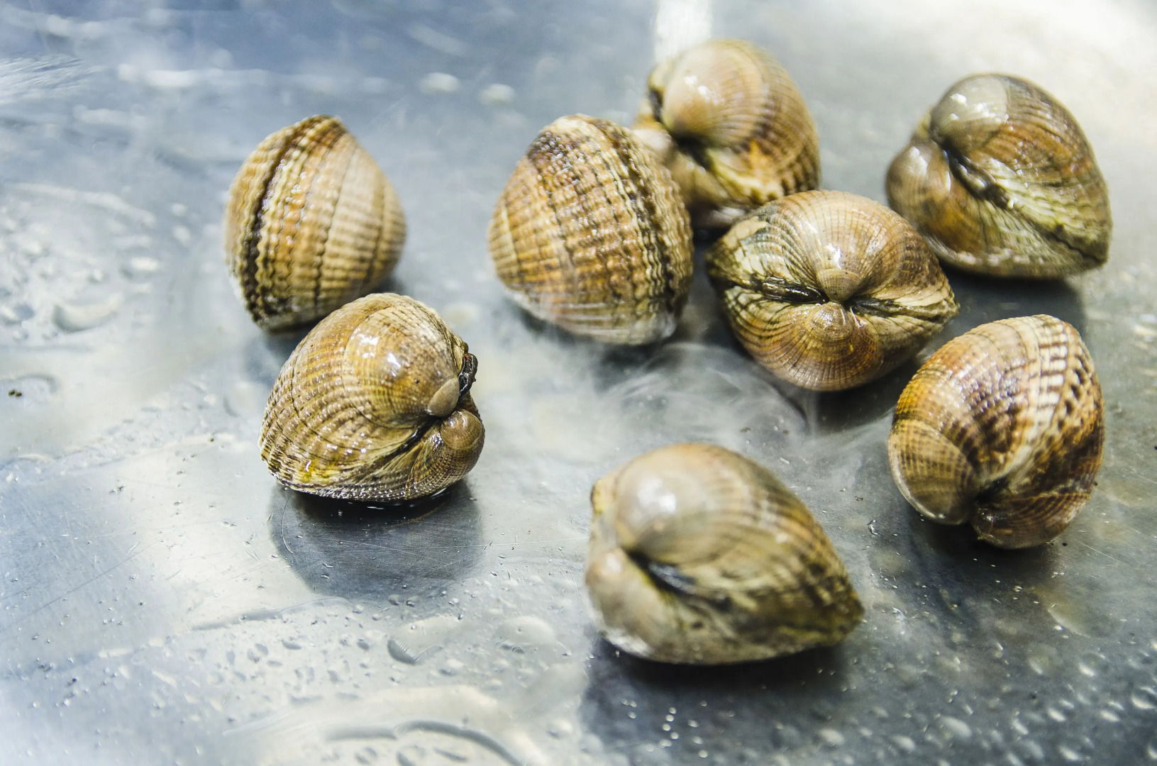 Hotel Crisol de las Rías