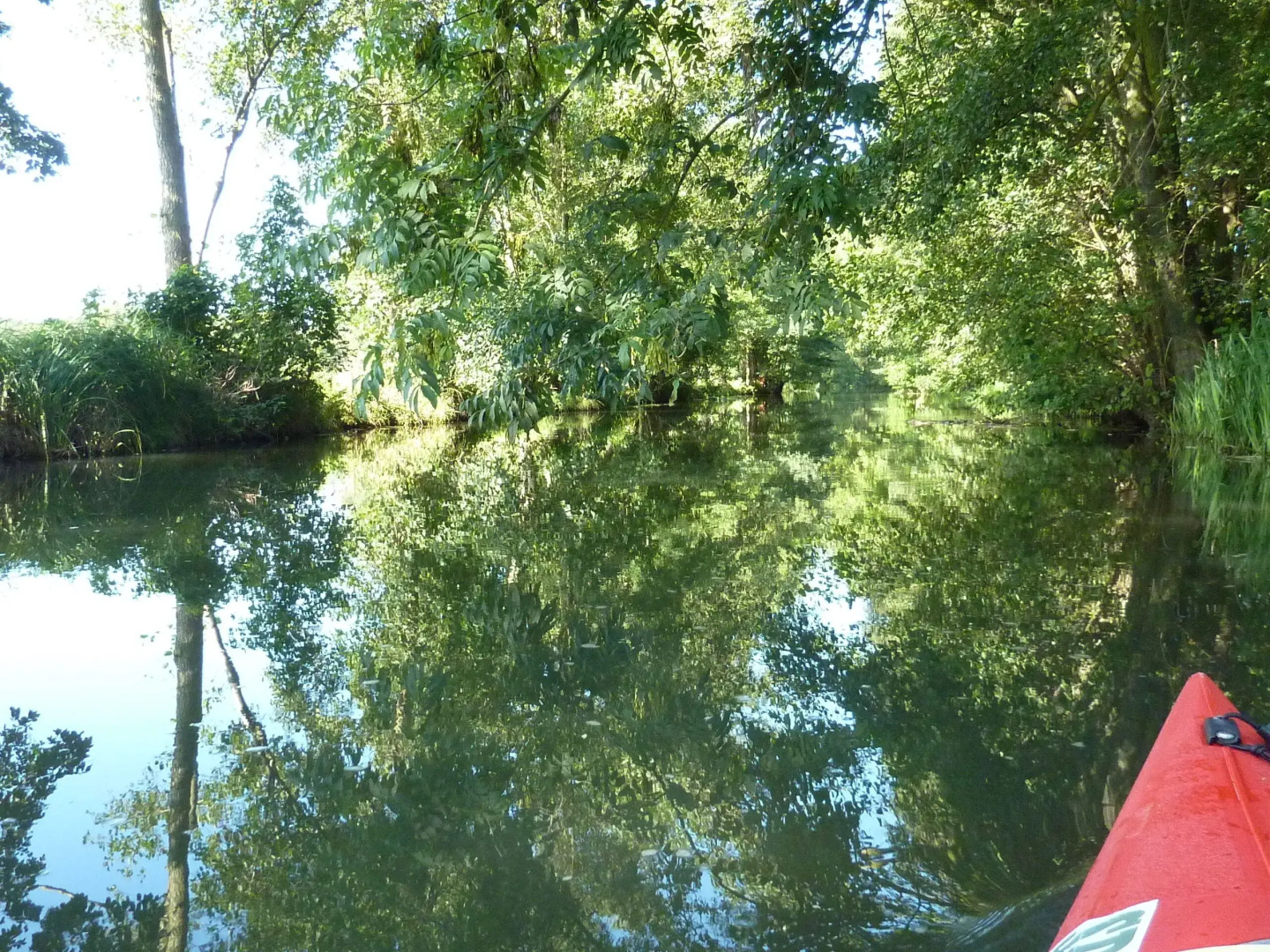 Spreewald - Pension Spreeaue