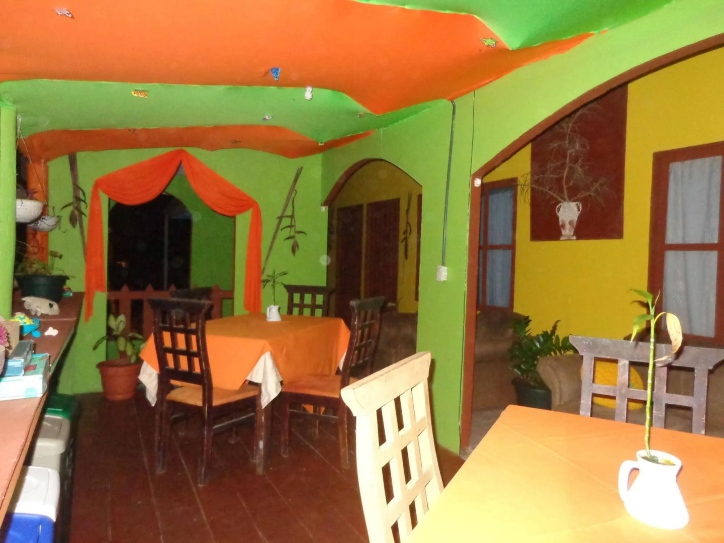 Cabinas Tortuguero Natural