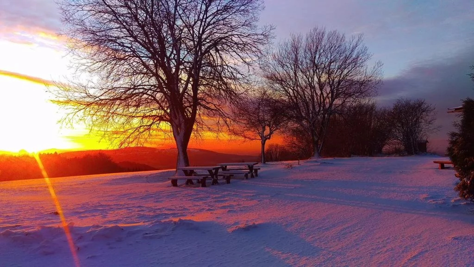 Riegrova Chata Kozákov