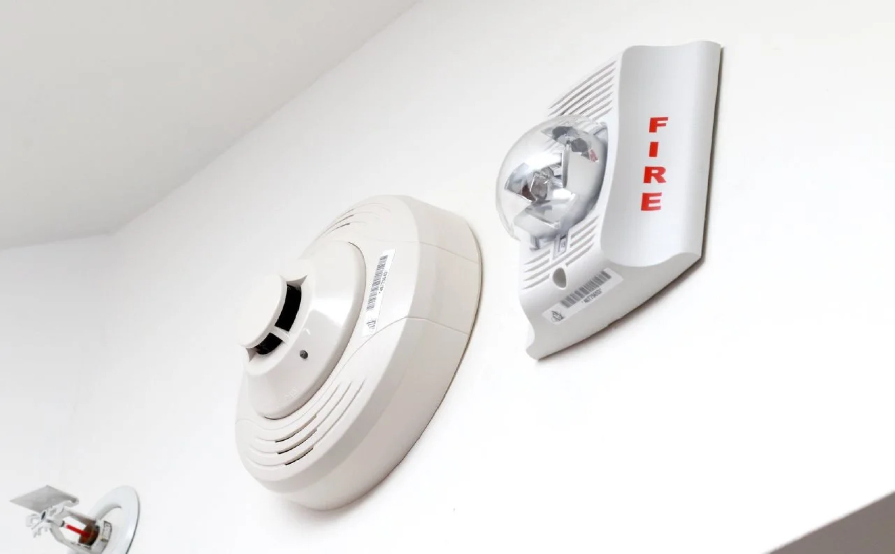 Holiday Inn Hotel & Suites Guadalajara-Centro Historico by IHG