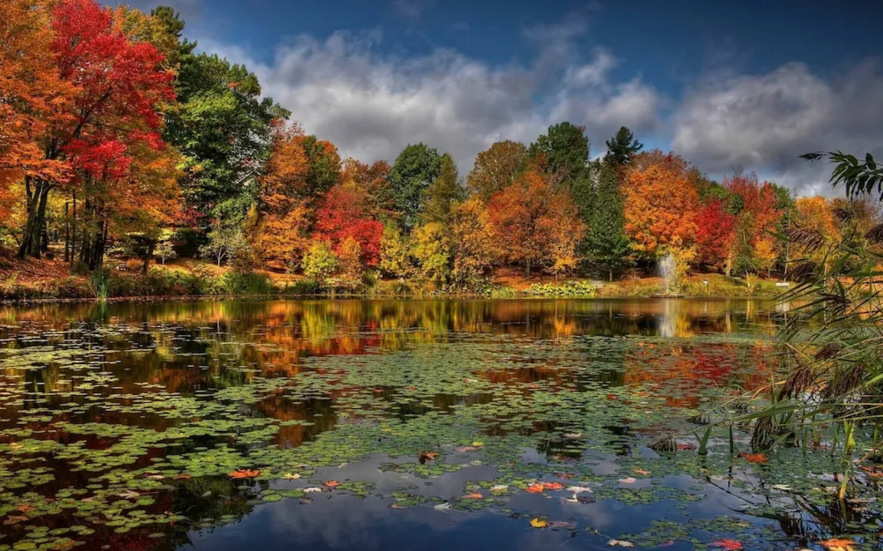 kr 5 Min Duterminusfridgeparkwificamras