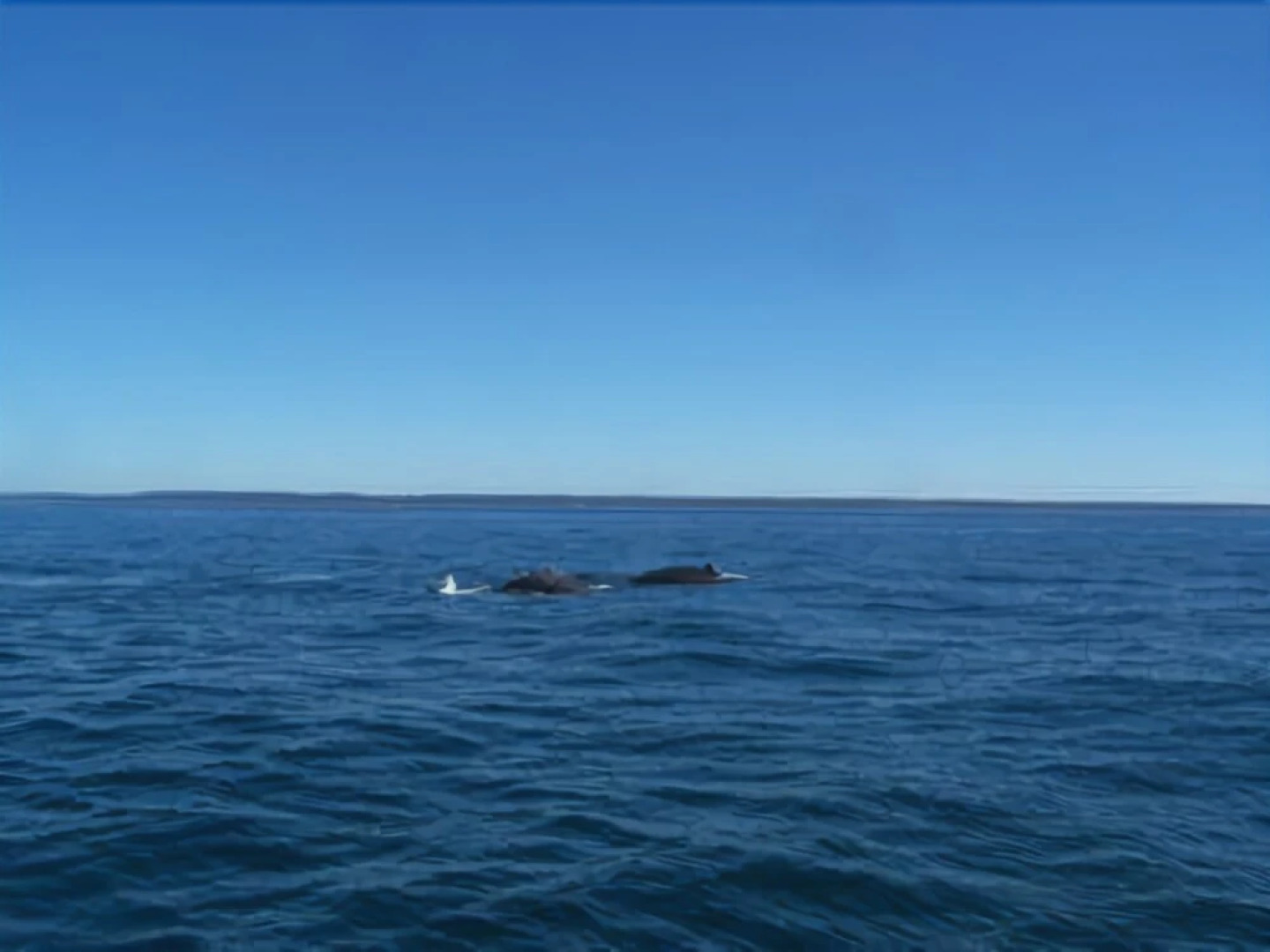 Baie Ste. Marie Oceanfront Cottages