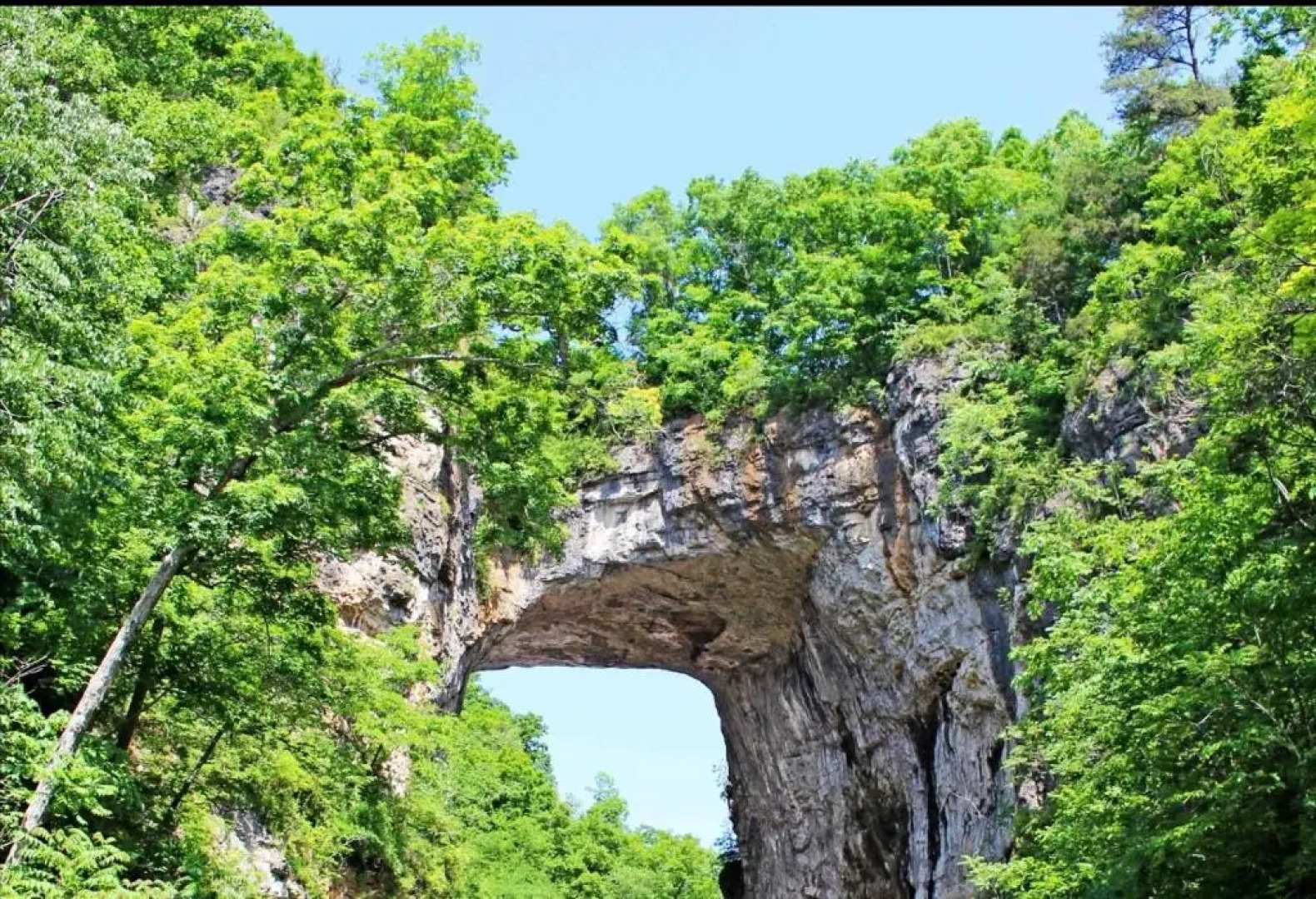 Relax Inn By OYO Natural Bridge I-81