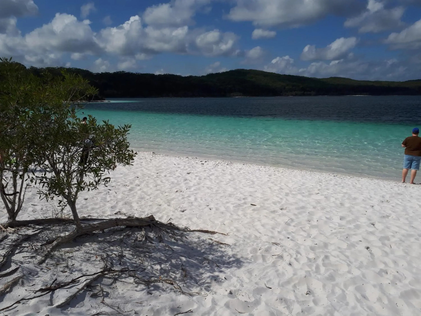 Fraser Views Bed and Breakfast