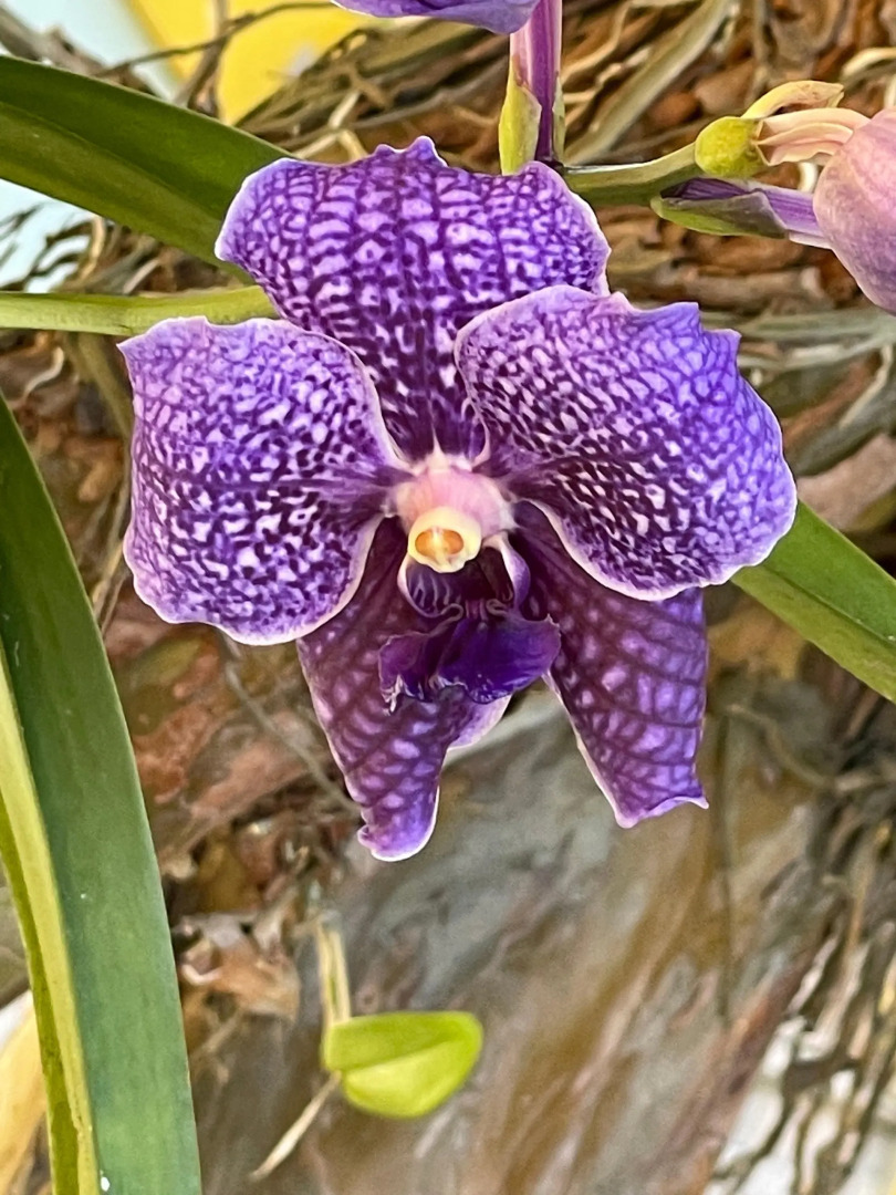 Pousada Toca dos Coelhos