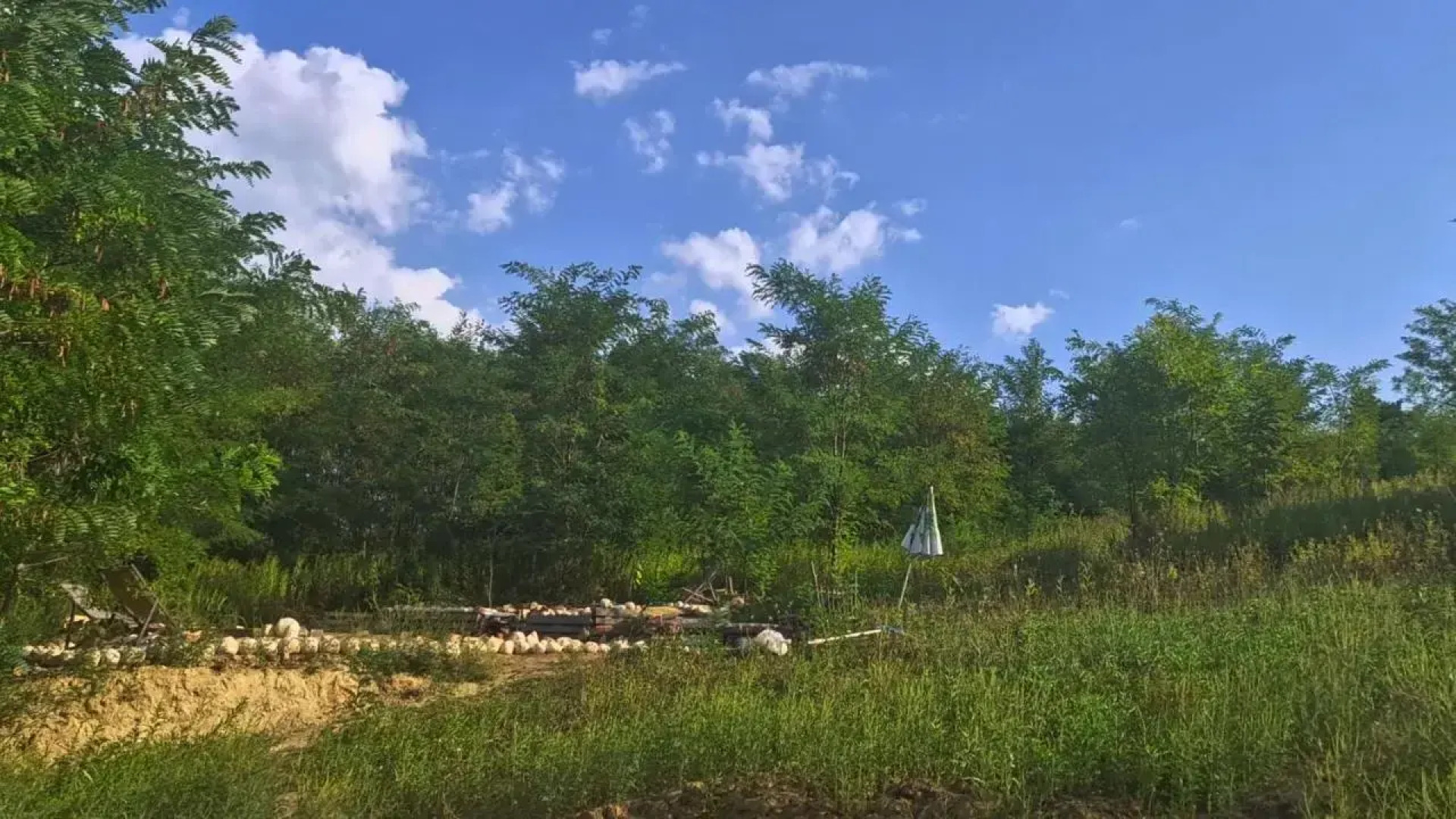 Koppany Pines Rewild Escapes - Hungarian Village Panzio