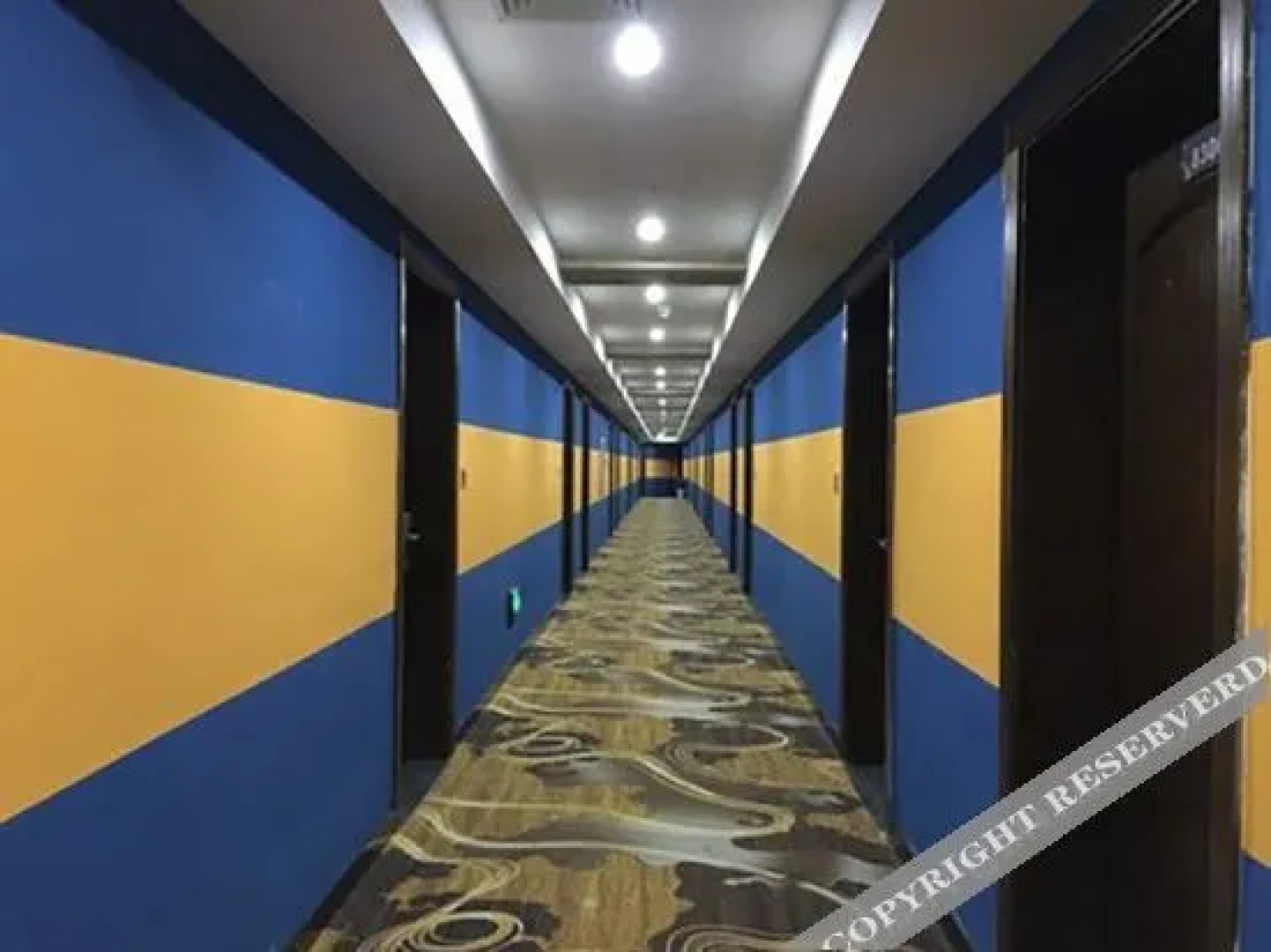 Cat Hotel (Xingguo Dongcheng International Branch)