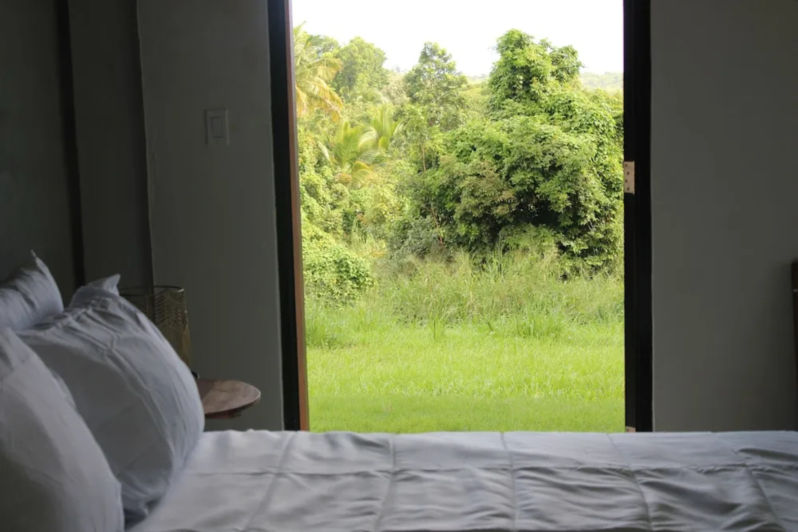 The Serene House Bed & Breakfast