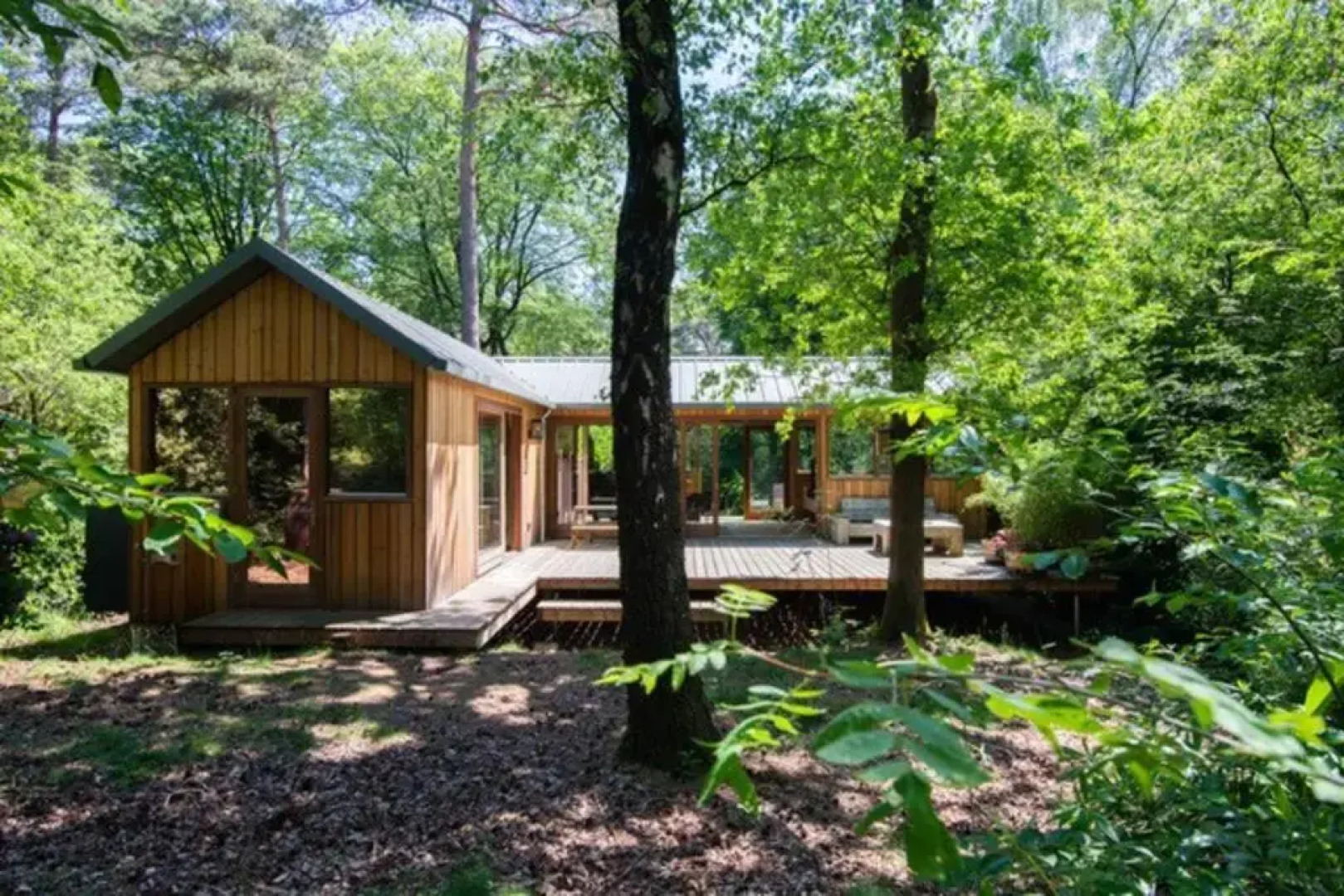 Houten bosvilla met sauna en 2 slaapkamers