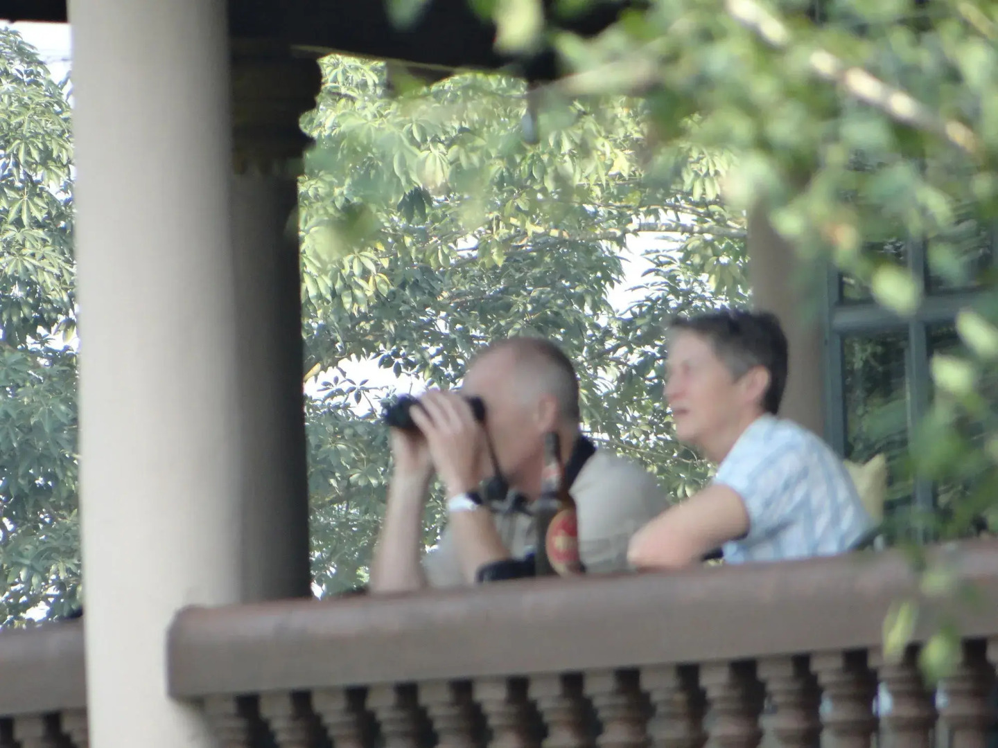 Baghmara Wildlife Resort