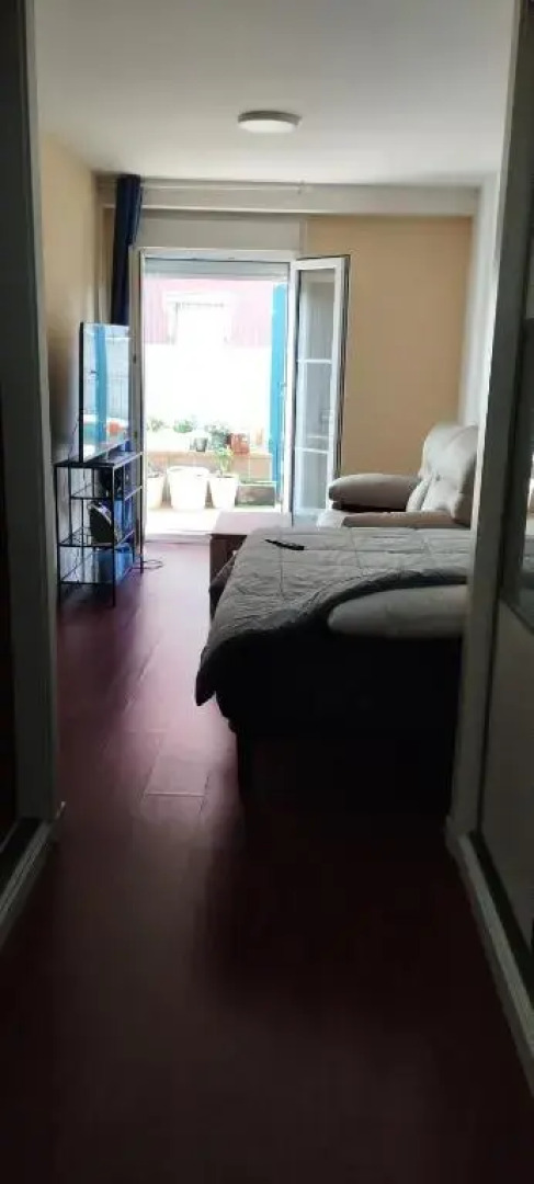 Suit piscina y terraza