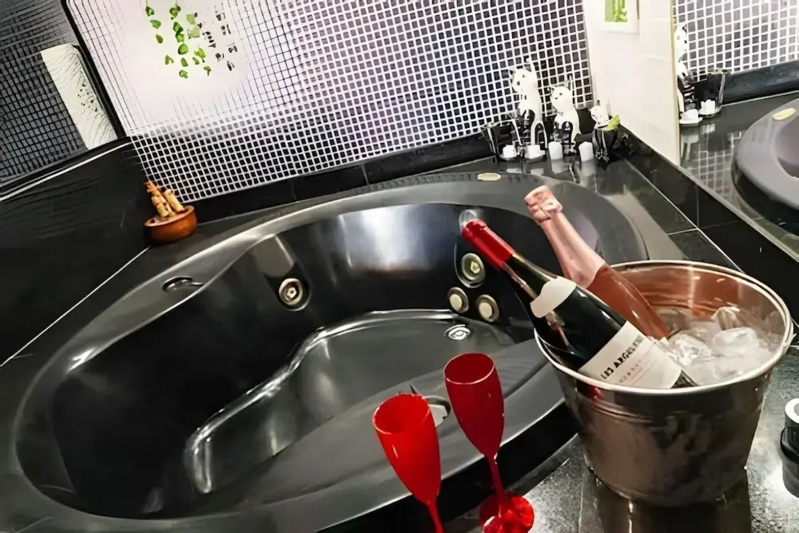 OZPED Flats Particulares Bonaparte