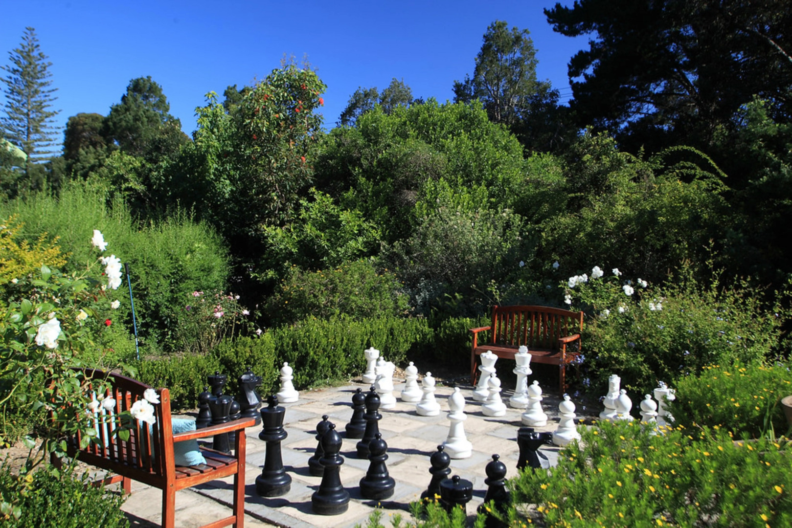 Knysna Hollow Country Estate