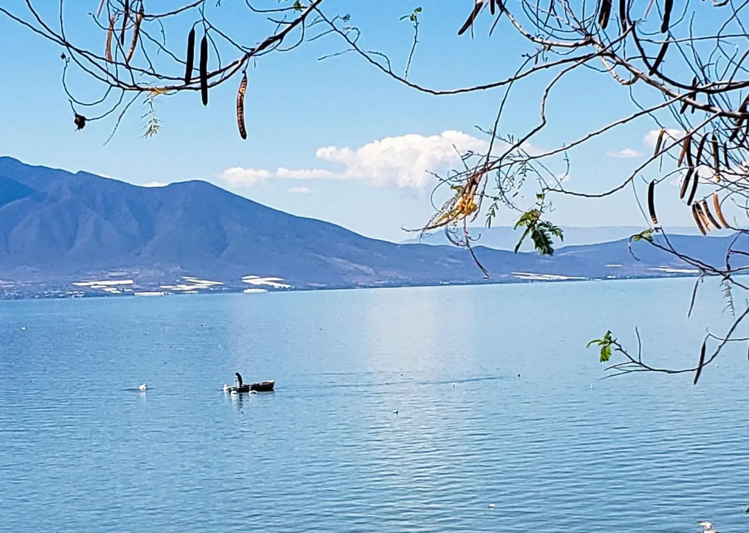 Villa 1927 Arthotel Boutique