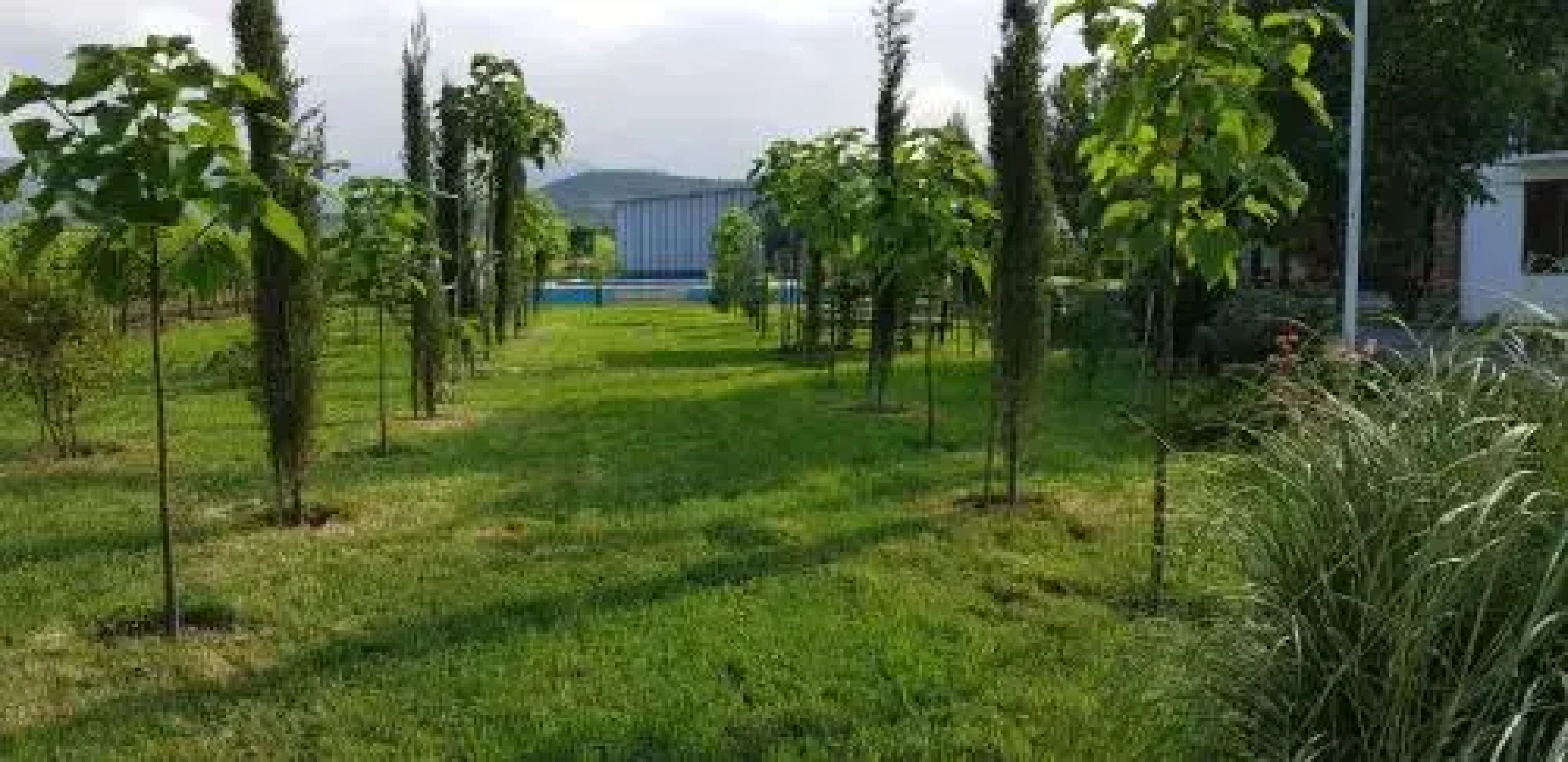 Shaloshvilis Cellar Hotel