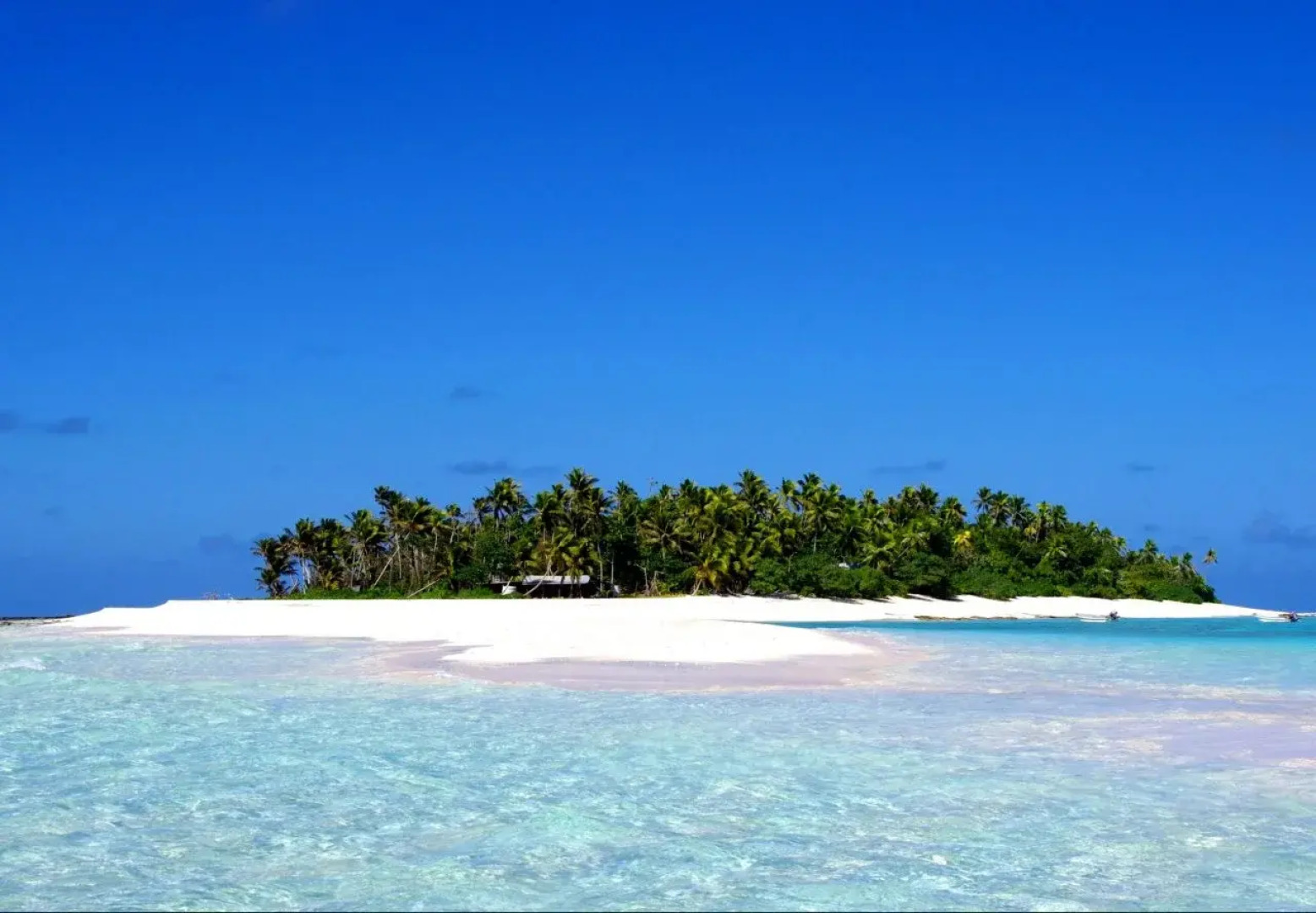 Maravu Taveuni Lodge