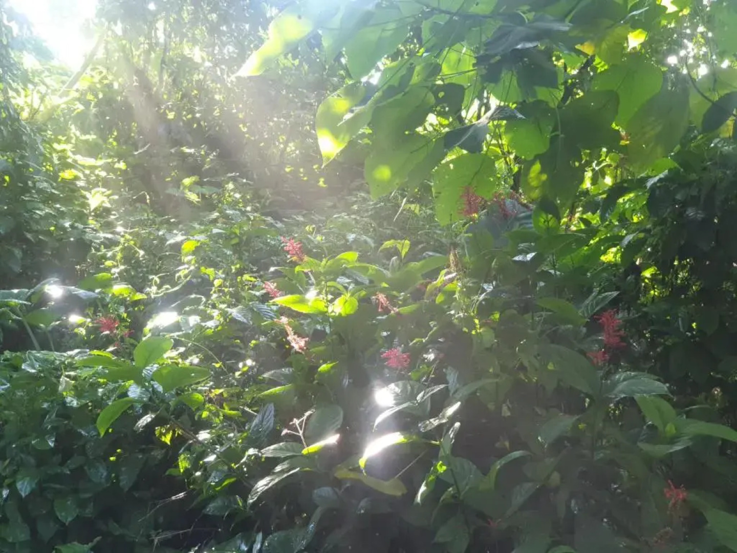 Maka-Kalinaw 4 Wabi-sabi Room, Spa bath