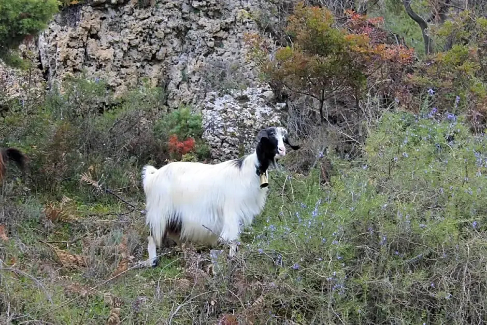 Sardinia Climbing House