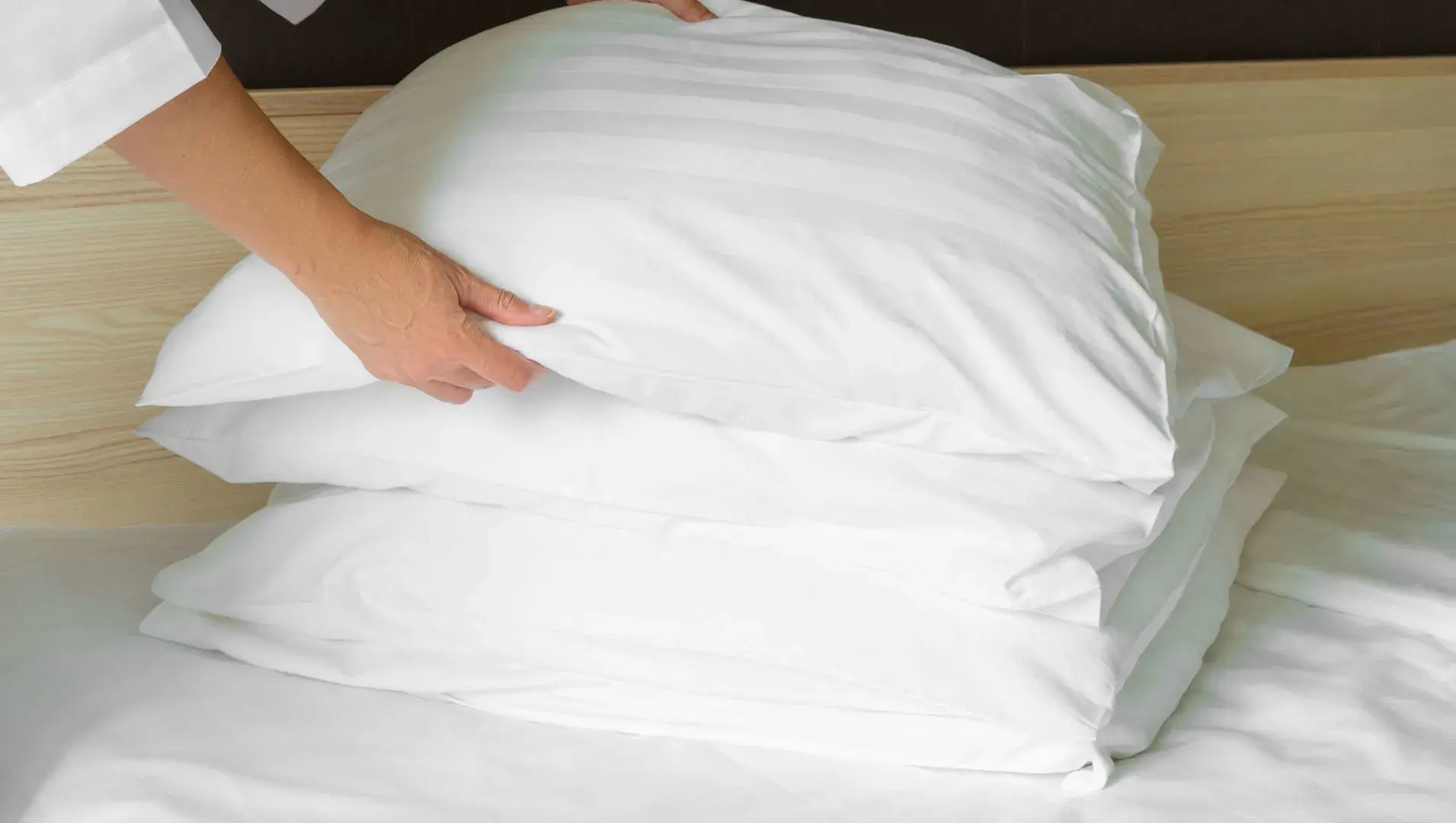 Rodeway Inn Clearwater - Central