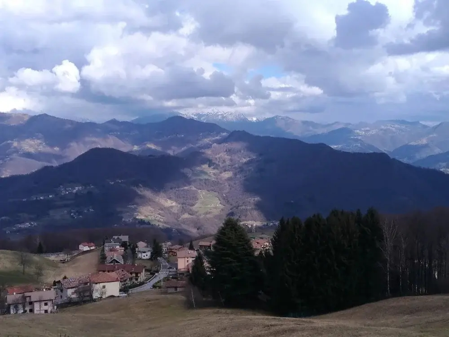 Bellavista