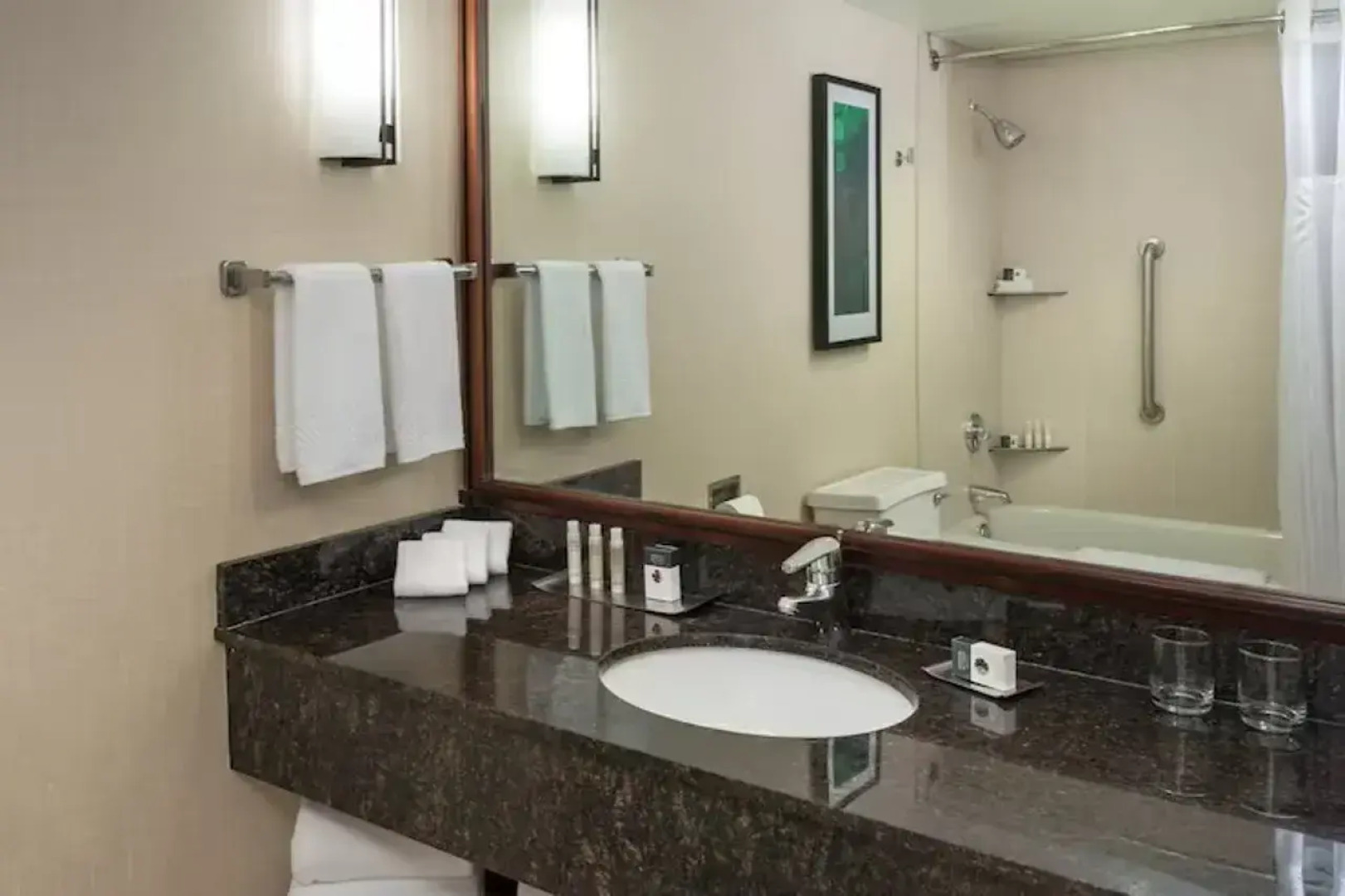 DoubleTree Suites by Hilton Htl & Conf Cntr Downers Grove