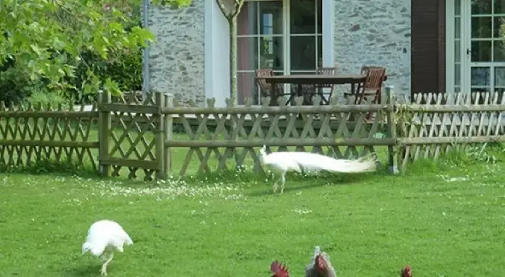 Au Bas Chalonge Gite Le Four à Pain